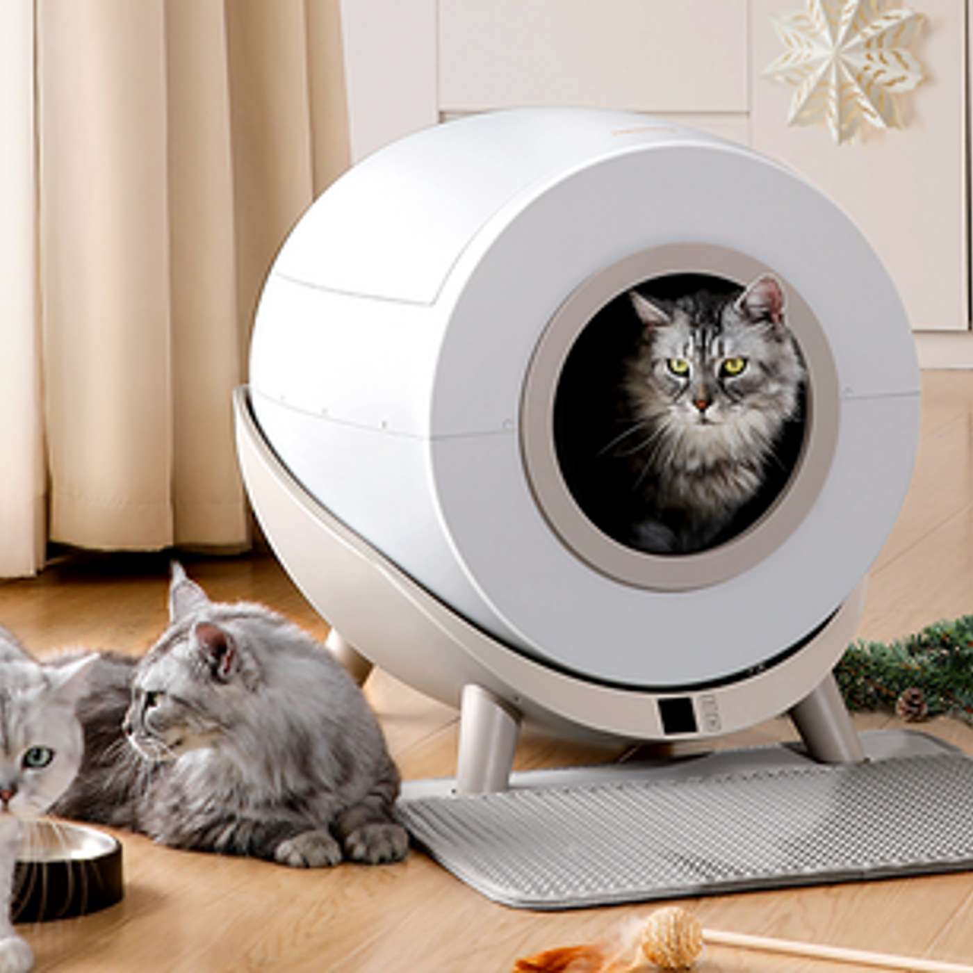 Optimal Comfort: Choosing Spacious Litter Boxes for Your Cats