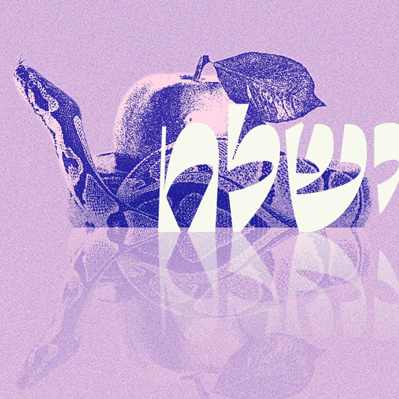 Parashat Vayishlach | Blaming the Victim? | Rabbi Shai Finkelstein episode artwork