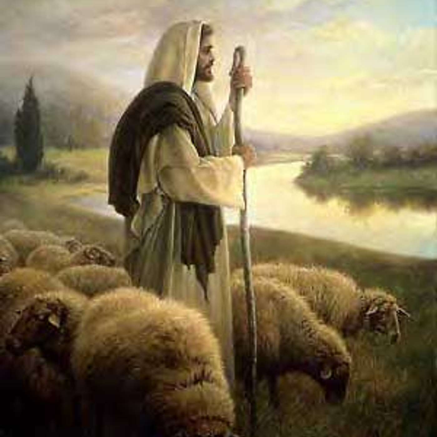 Sheep and Goats