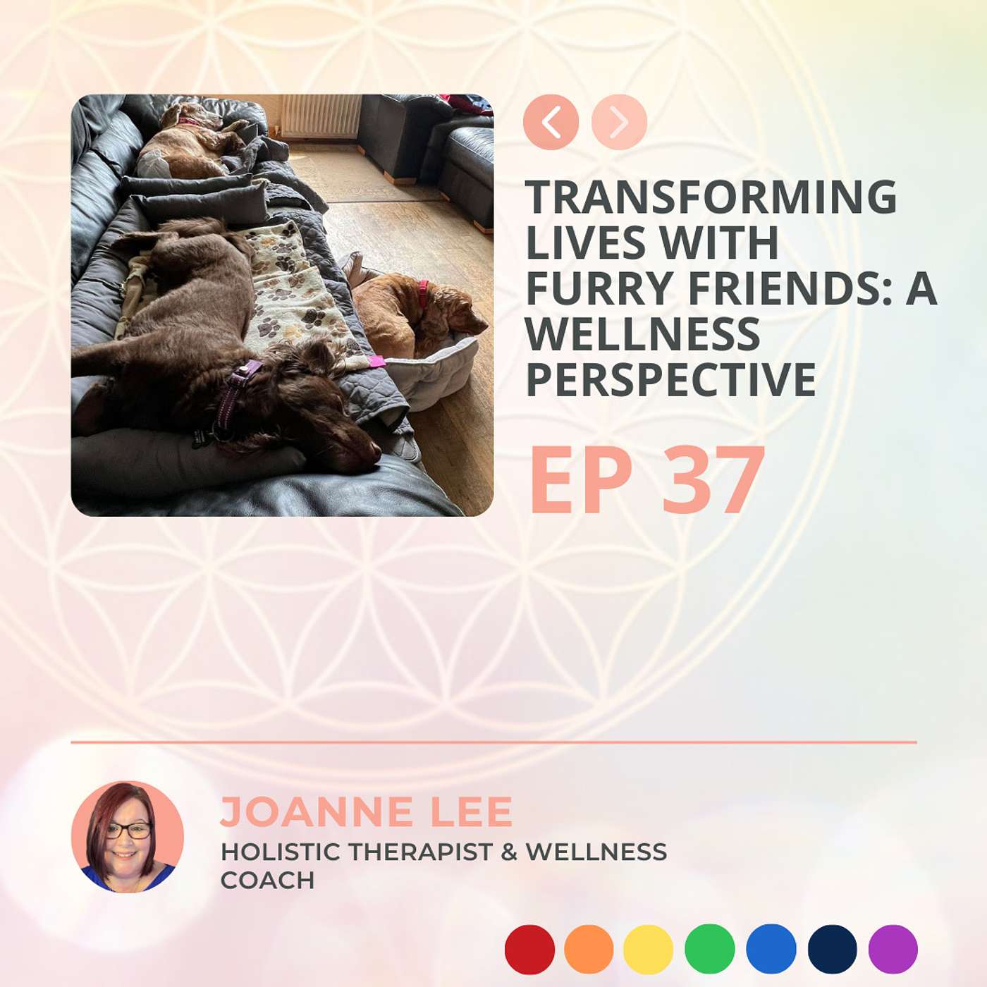 Transforming Lives with Furry Friends: A Wellness Perspective | Episode 37
