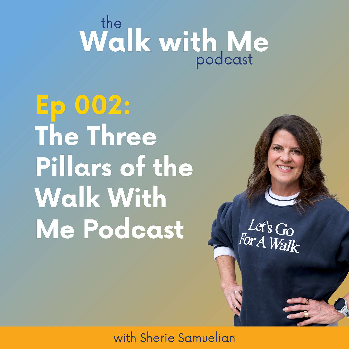 002: The Three Pillars of the Walk With Me Podcast episode artwork
