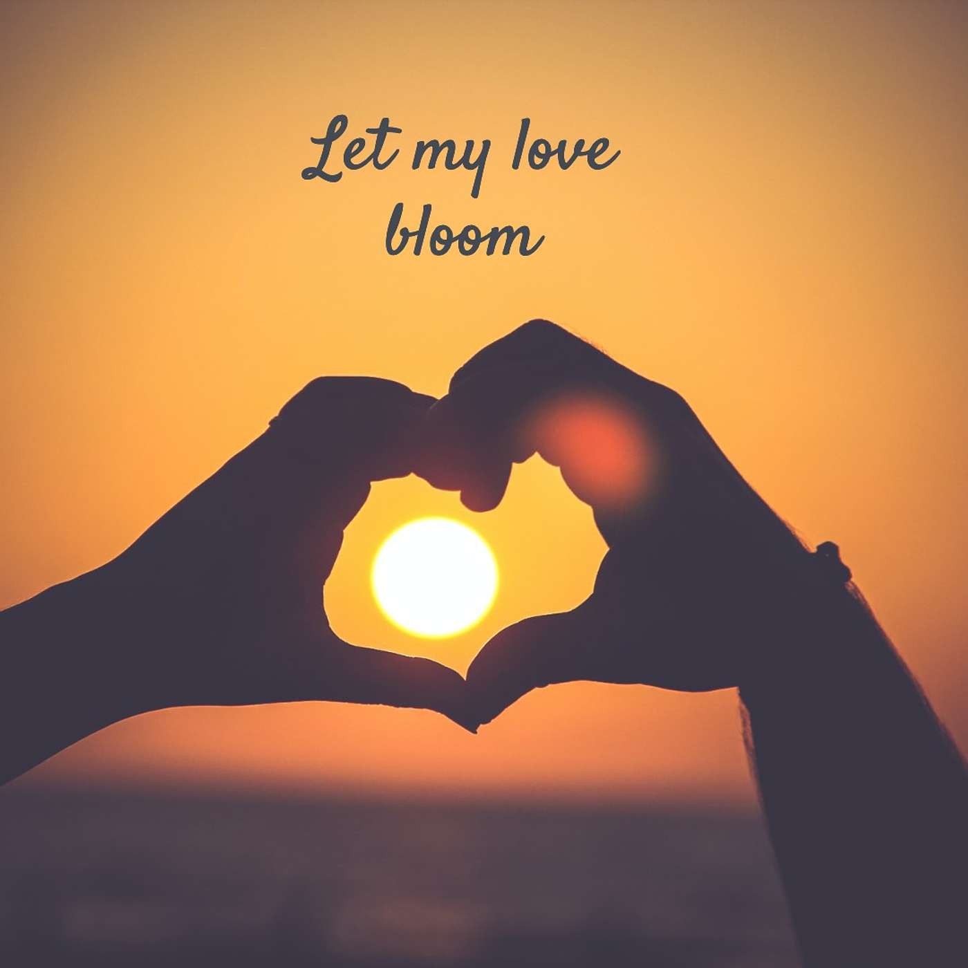 #279 Let my love bloom episode artwork