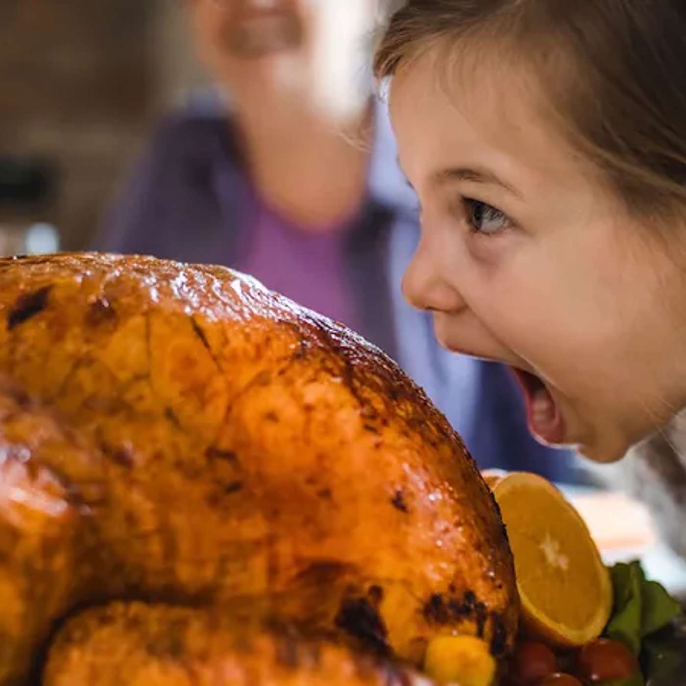 Lee and Brett discuss Thanksgiving – Episode 54