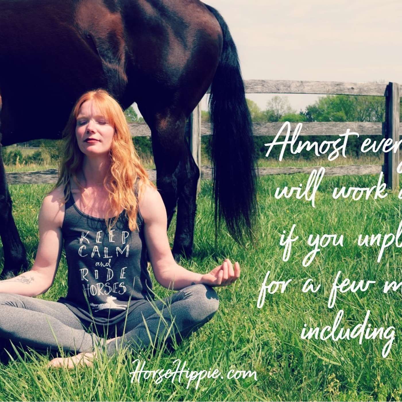 Be Willing to Unplug episode artwork