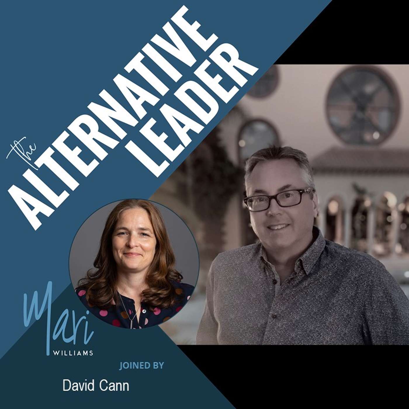 The Alternative Leader Podcast