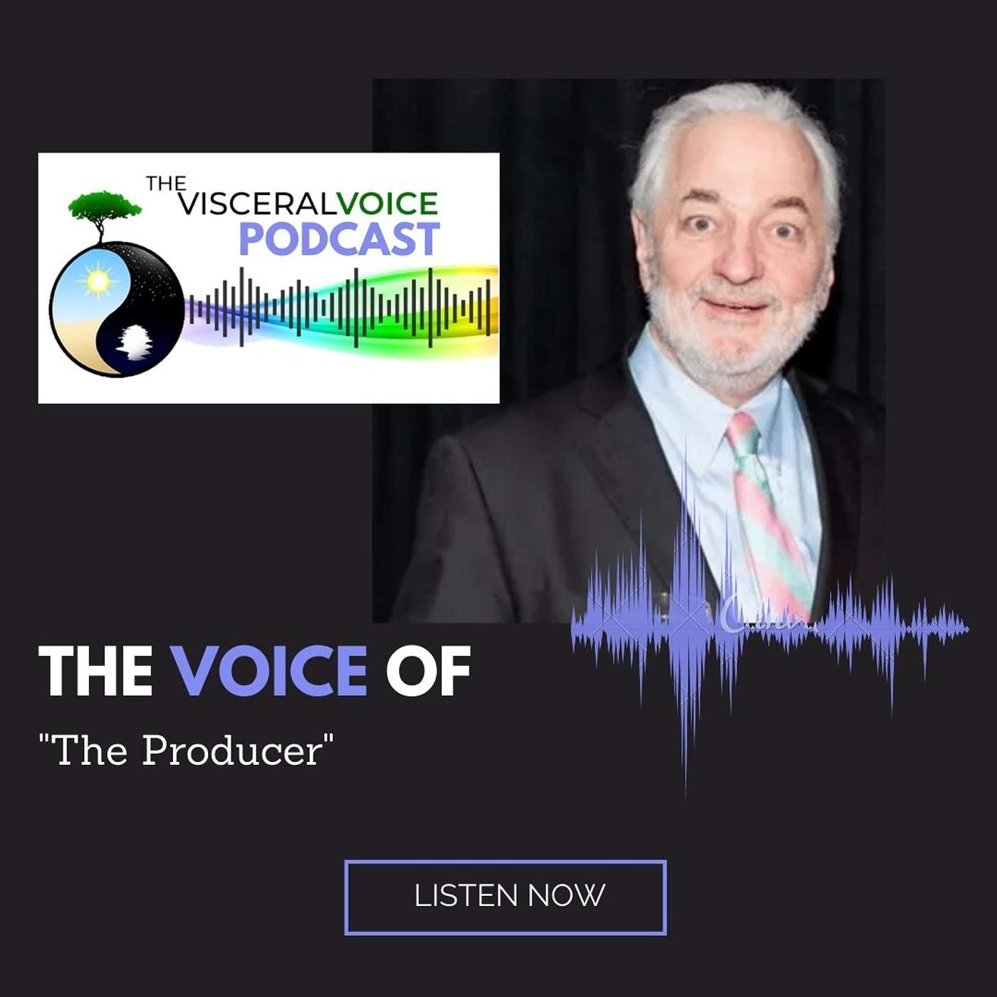 The Visceral Voice Podcast