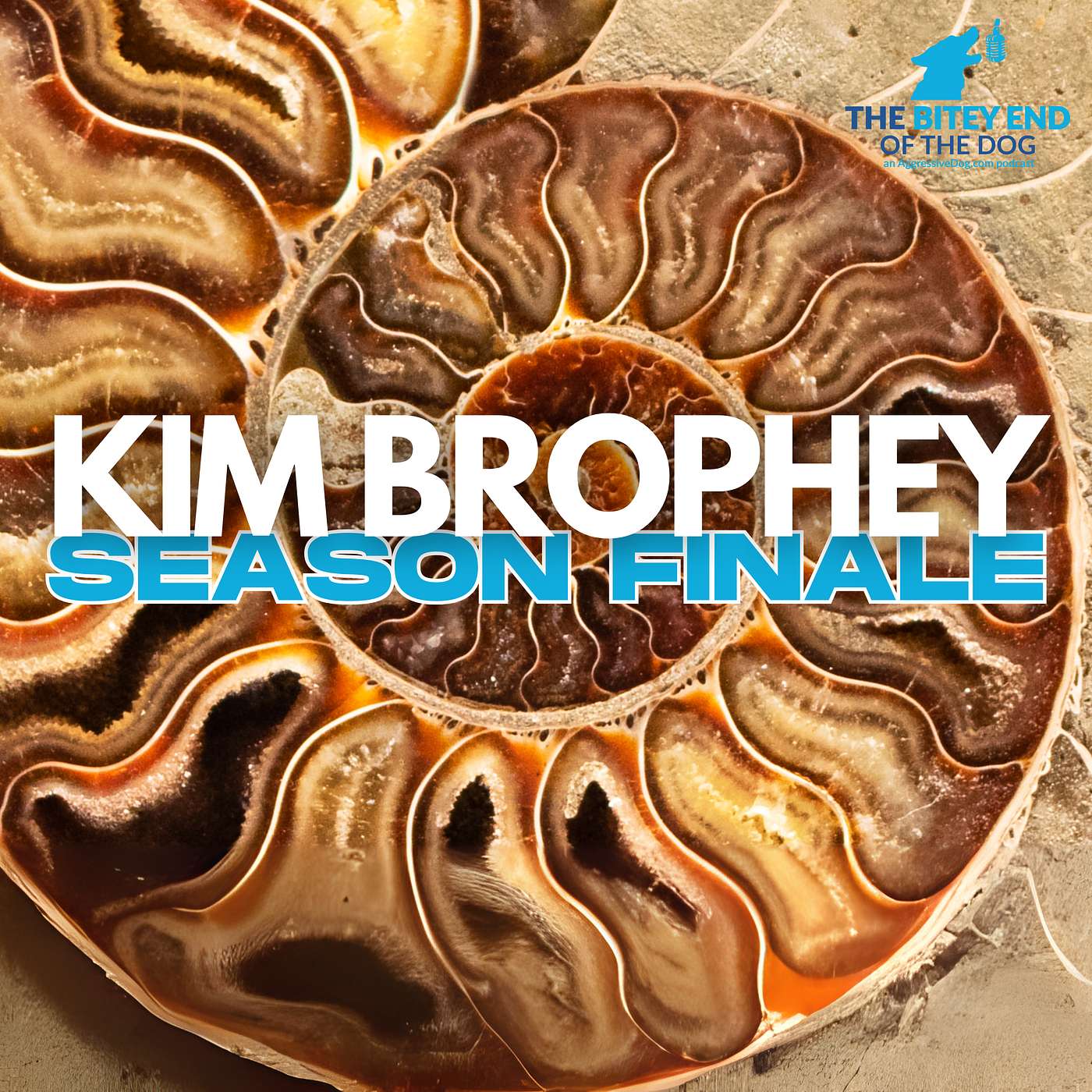 From Training to Welfare: A Shift in Thinking with Kim Brophey From Training to Welfare: A Shift in Thinking with Kim Brophey