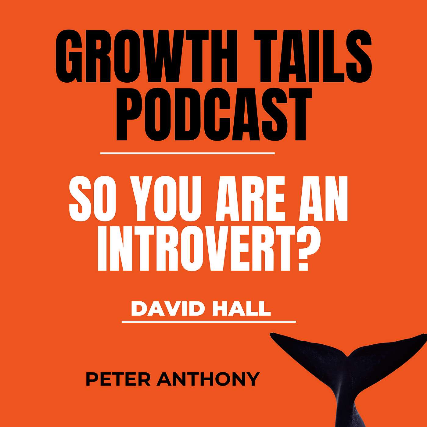 The secret to thriving as an introvert