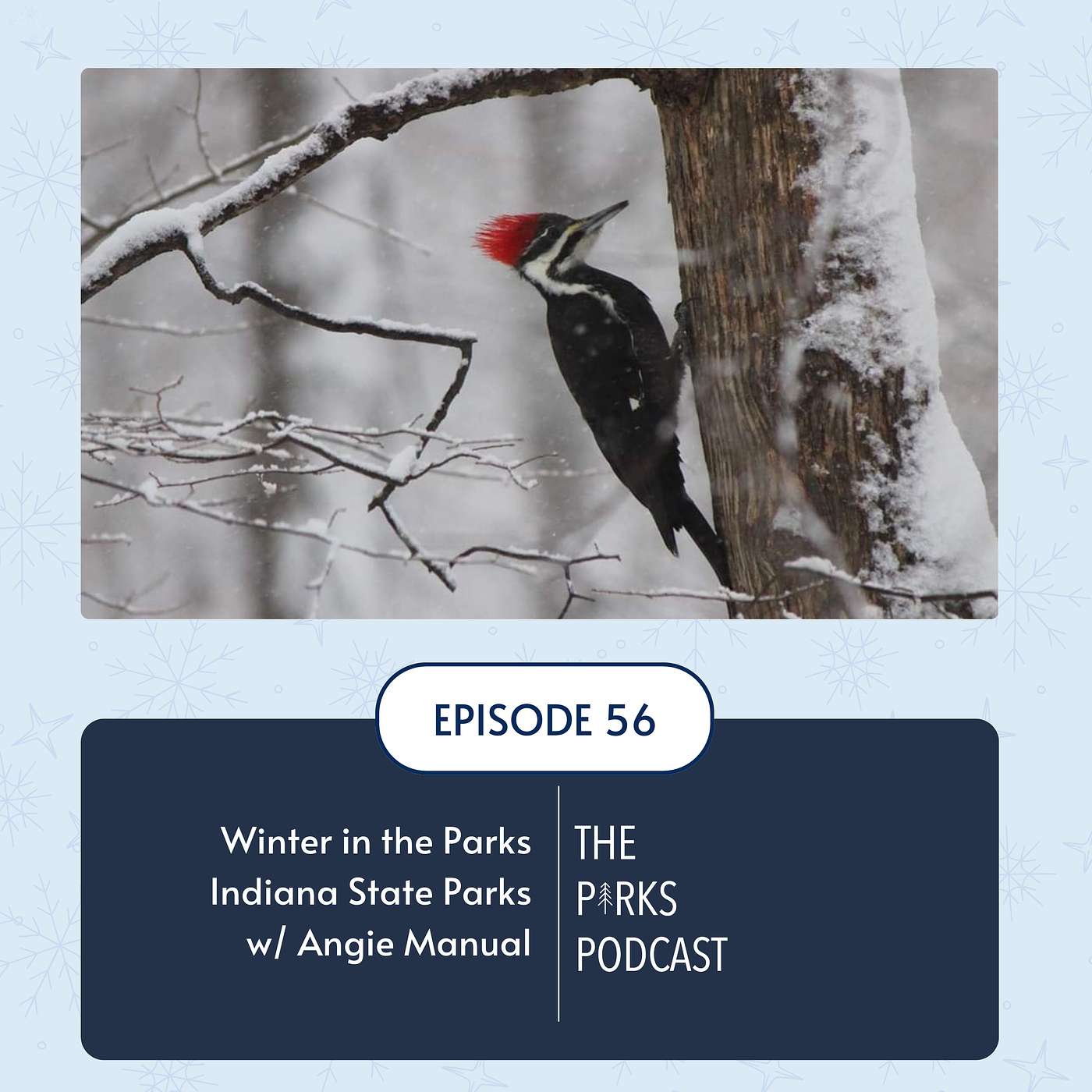 Winter in the Parks - Indiana State Parks (Episode 56) Winter in the Parks - Indiana State Parks (Episode 56)