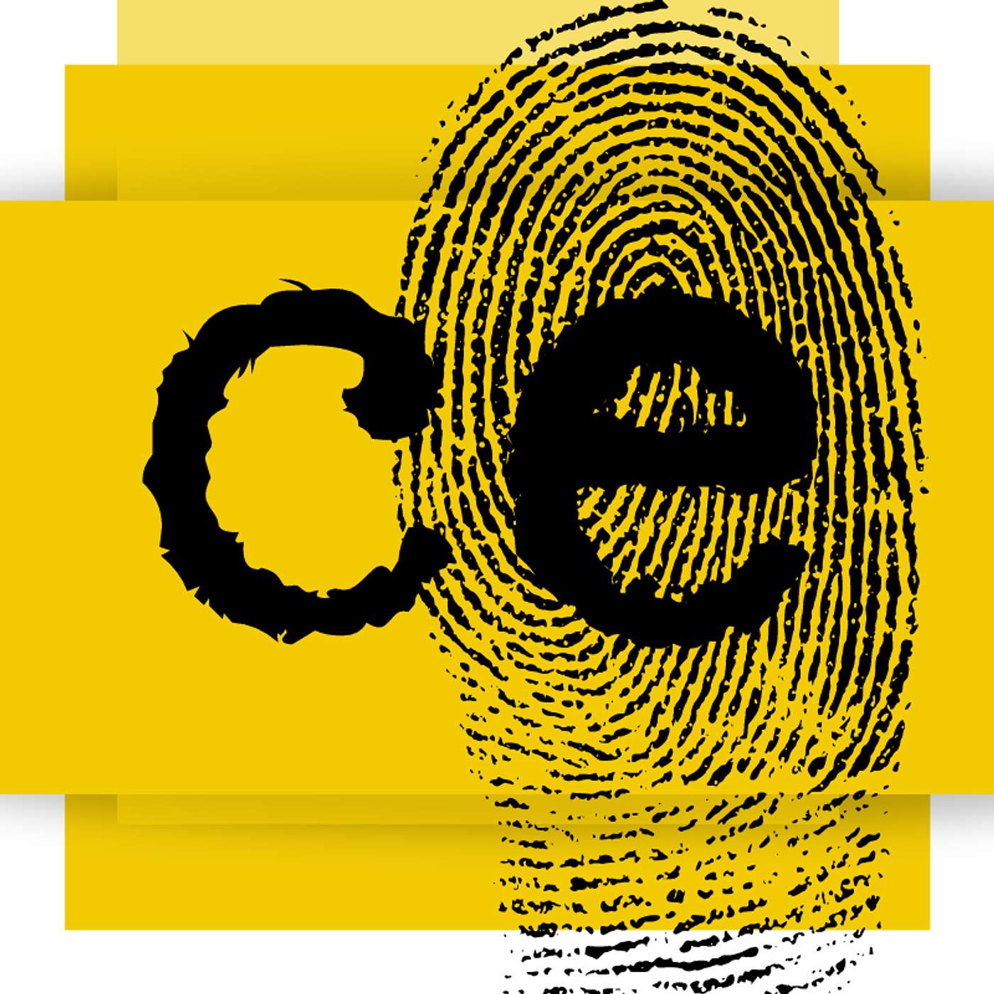 Criminal Enigma