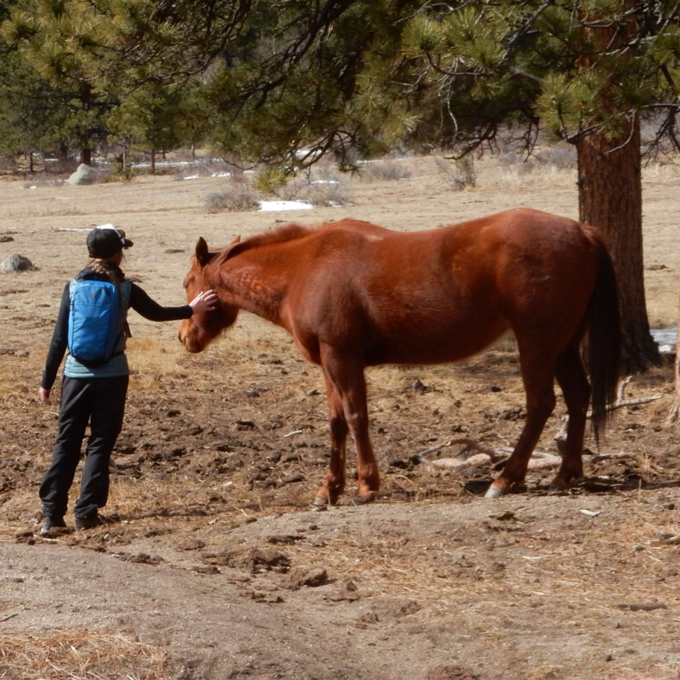 Kerry Shamblin Vedic Astrology