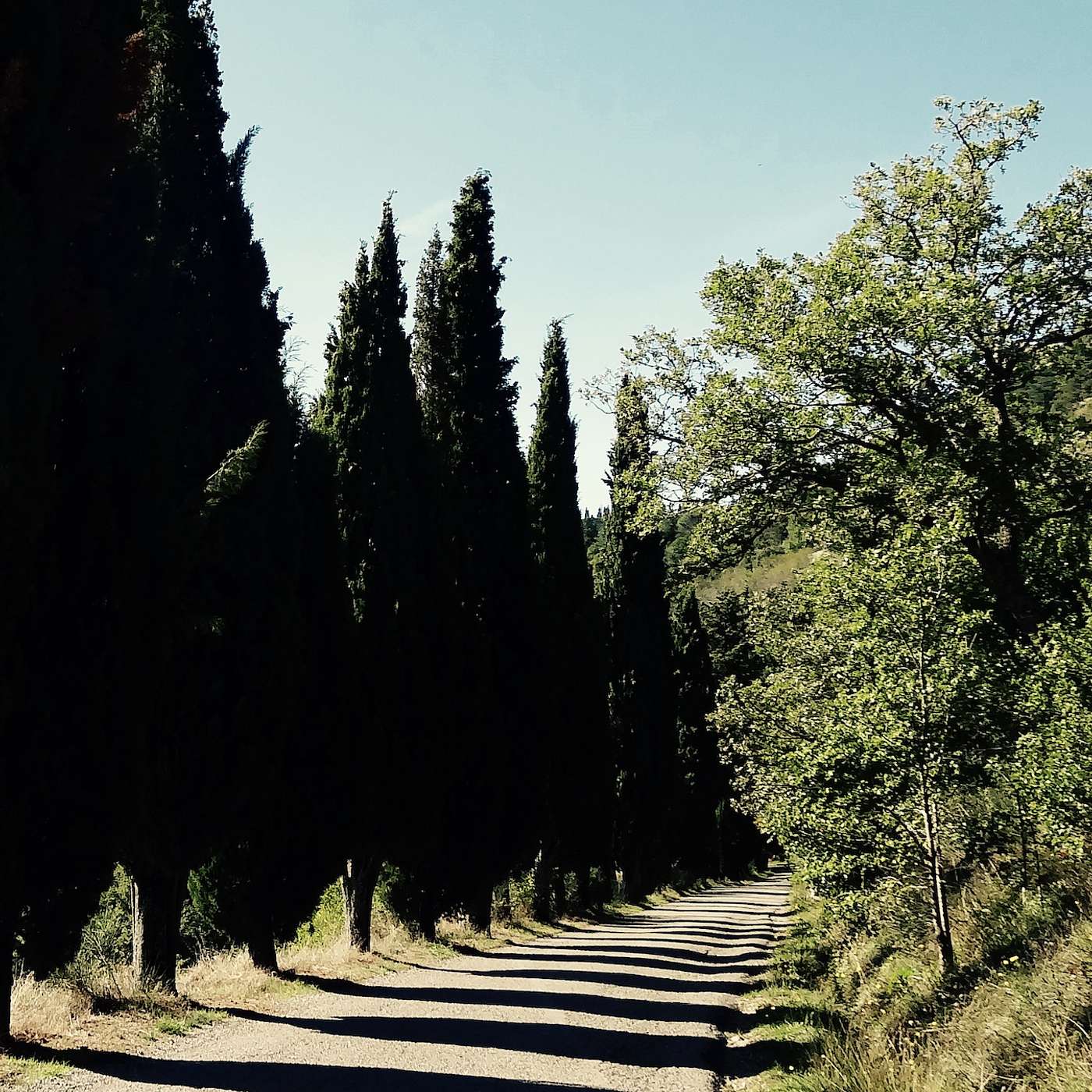 Episode 4: Cortona, Tuscany........."Terrible Ideas hmmm, don't you just love those?"....Under The Tuscan Sun (Film) and the Creative Life episode artwork