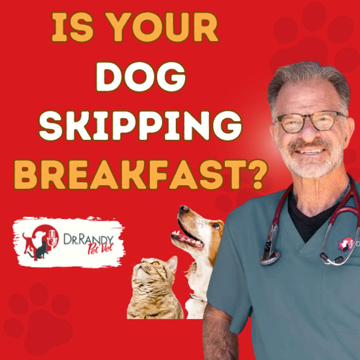 Why Your Dog Refuses to Eat Breakfast