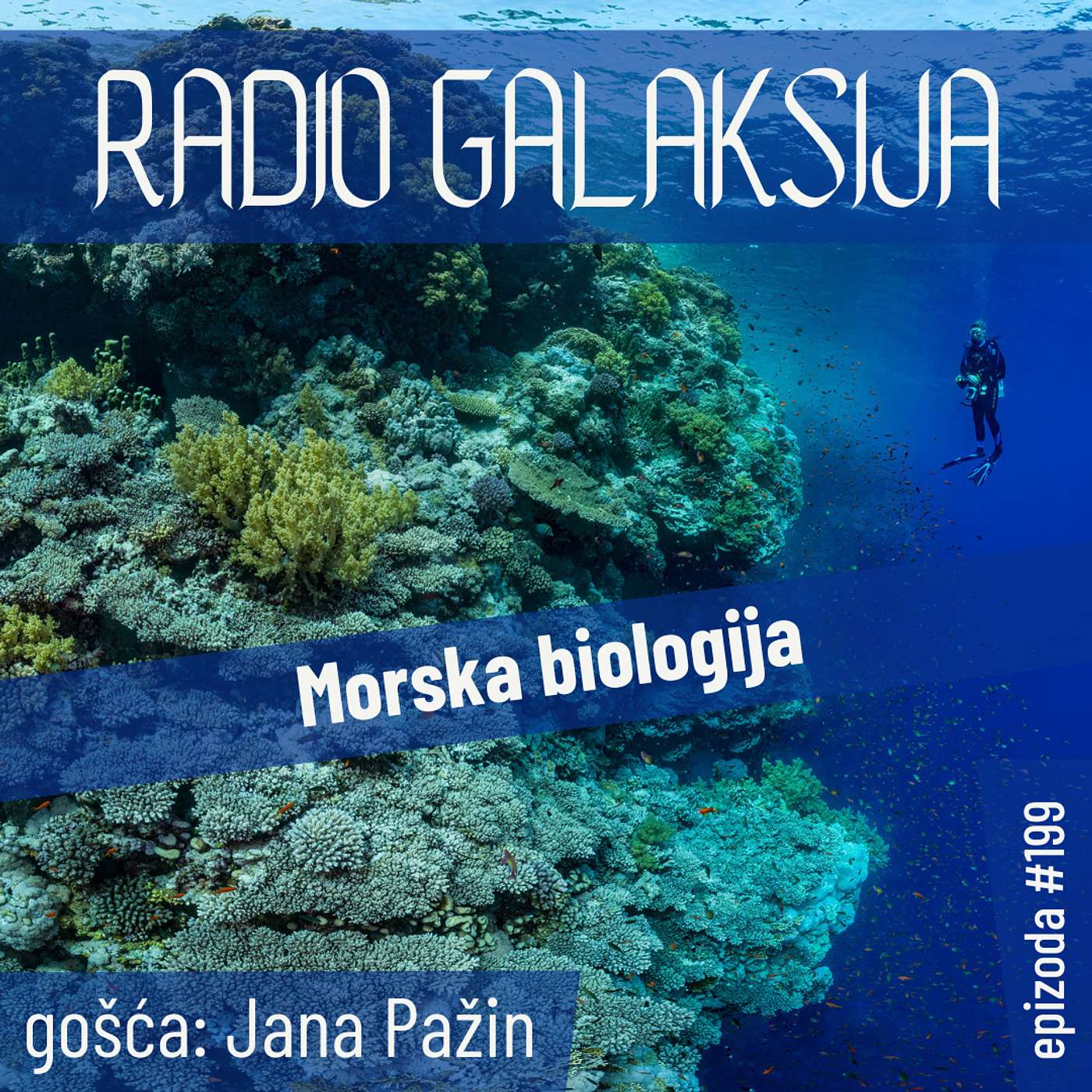 Radio Galaksija