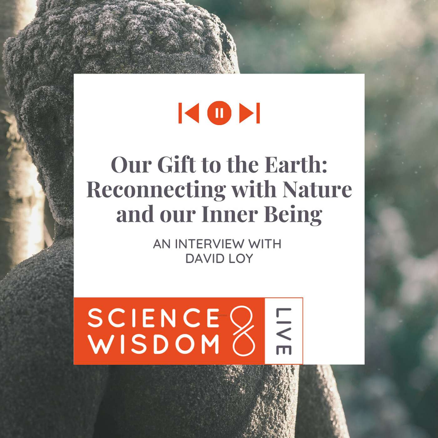 Dr. David Loy on Reconnecting with Nature and our Inner Being | Our Gift to the Earth episode artwork