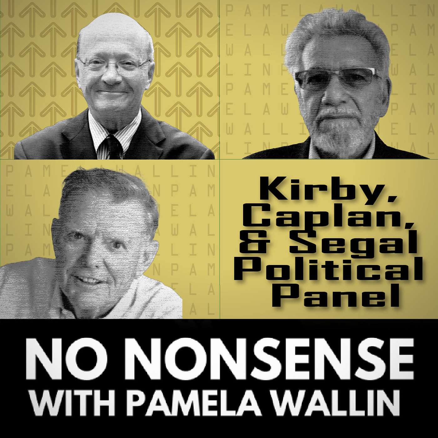 No Nonsense with Pamela Wallin