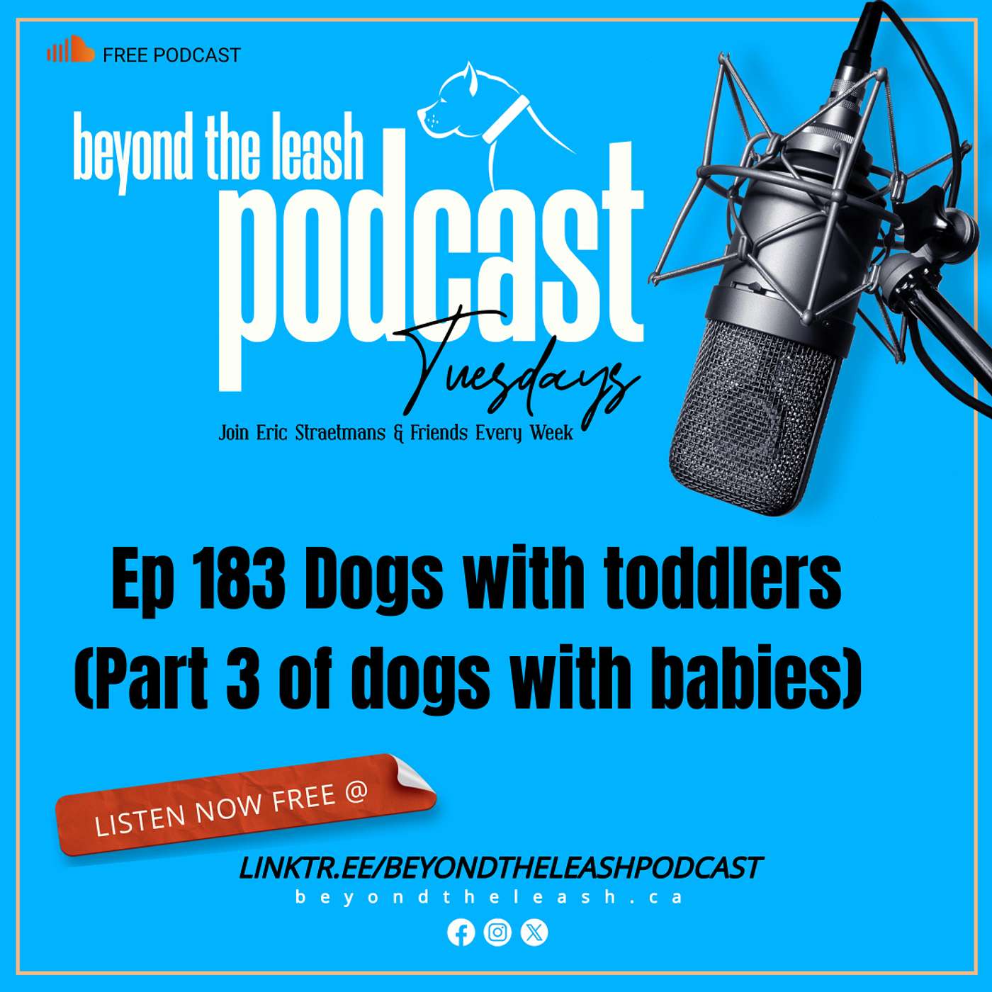 Ep 183 Dogs with toddlers.  ( Part 3 of dogs with babies)
