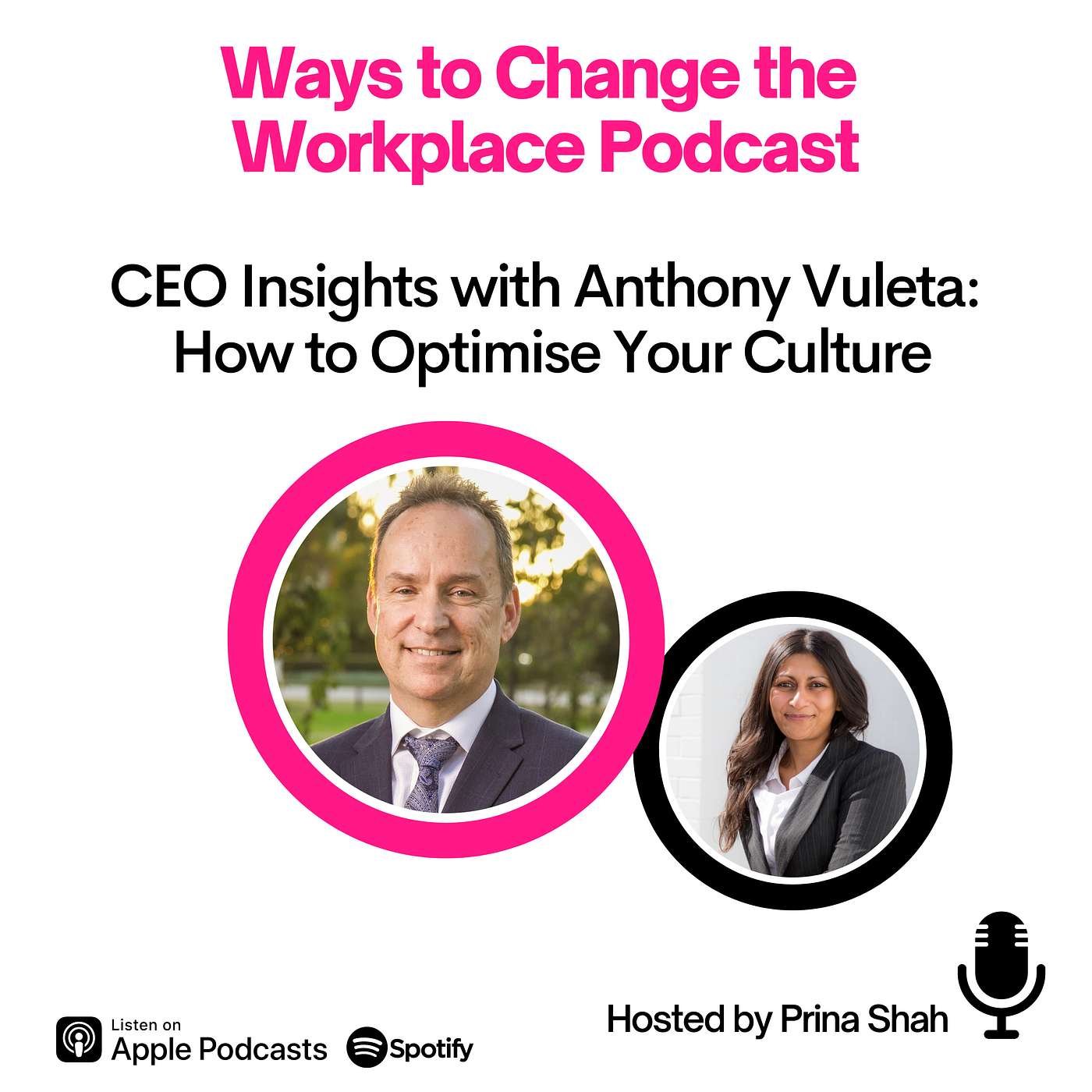 29. CEO Insights with Anthony Vuleta and Prina Shah: How to Optimise Your Culture episode artwork