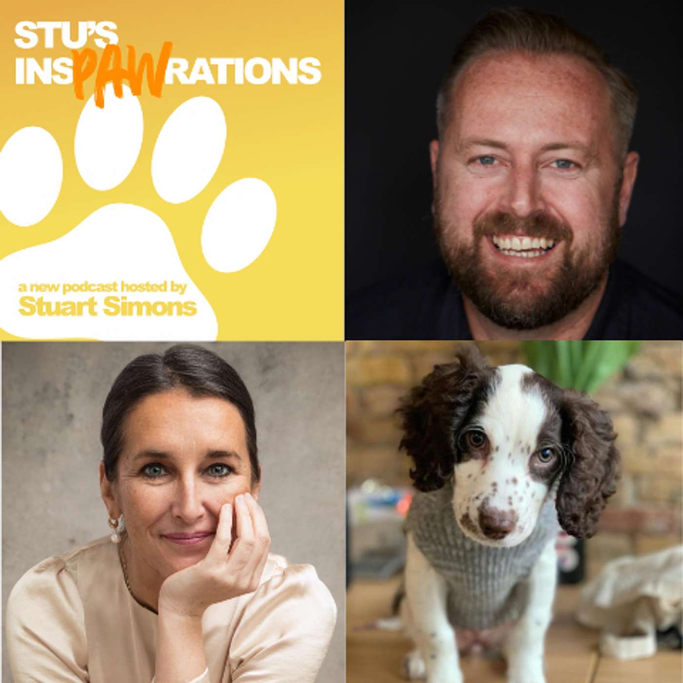 Stu\'s Inspawrations