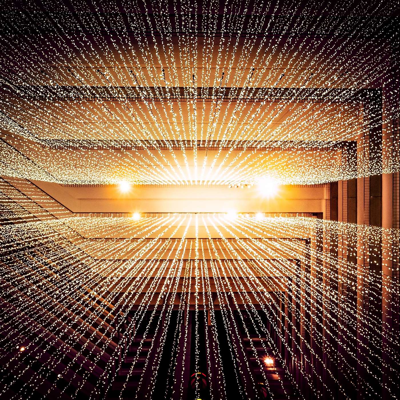 Digital Public Square