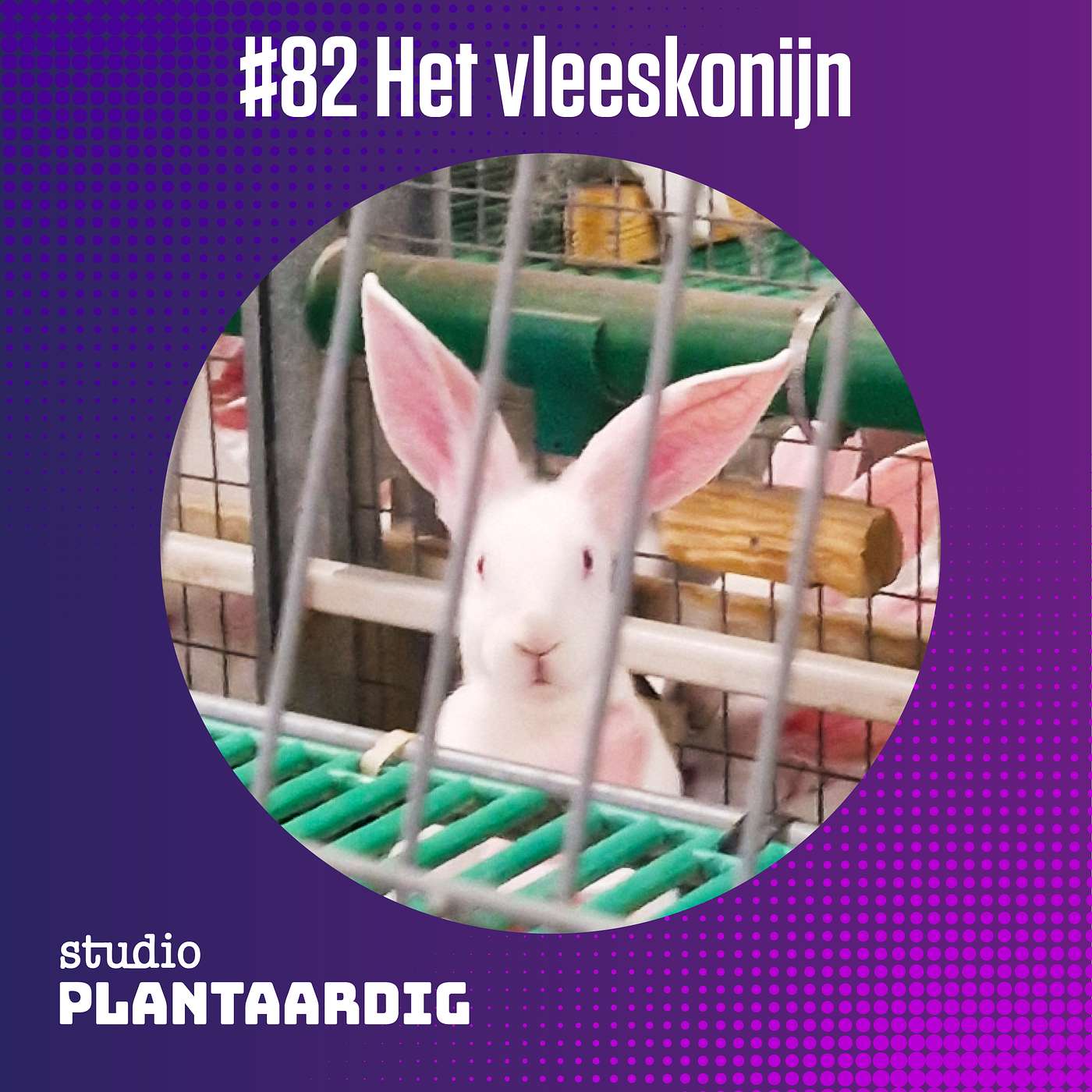Studio Plantaardig