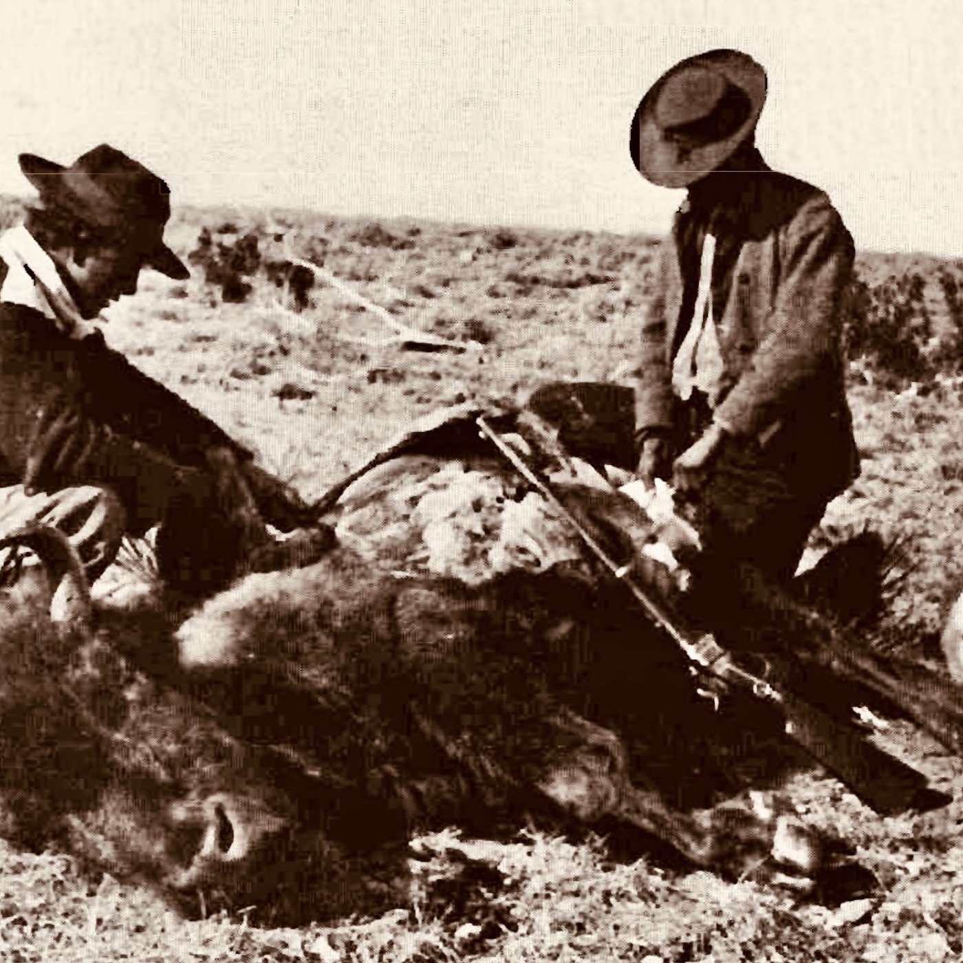 Unearthing the Buffalo Dystopia: The Catastrophe of Overhunting and the Medicine Lodge Treaty Consequences