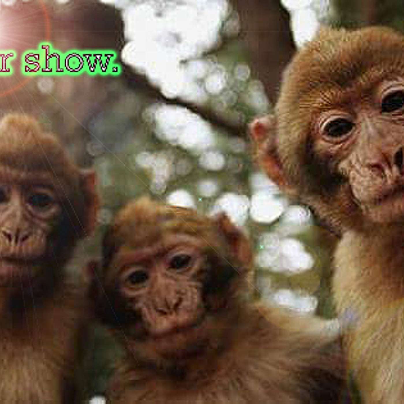 THE SUPER SHOW