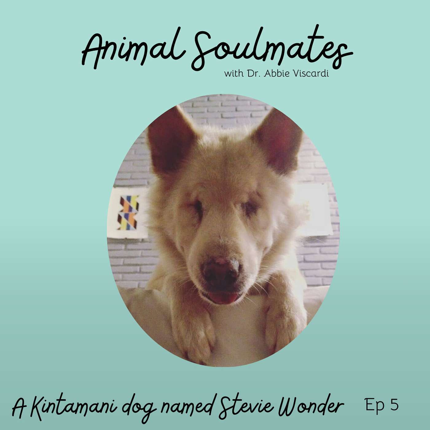 Animal Soulmates