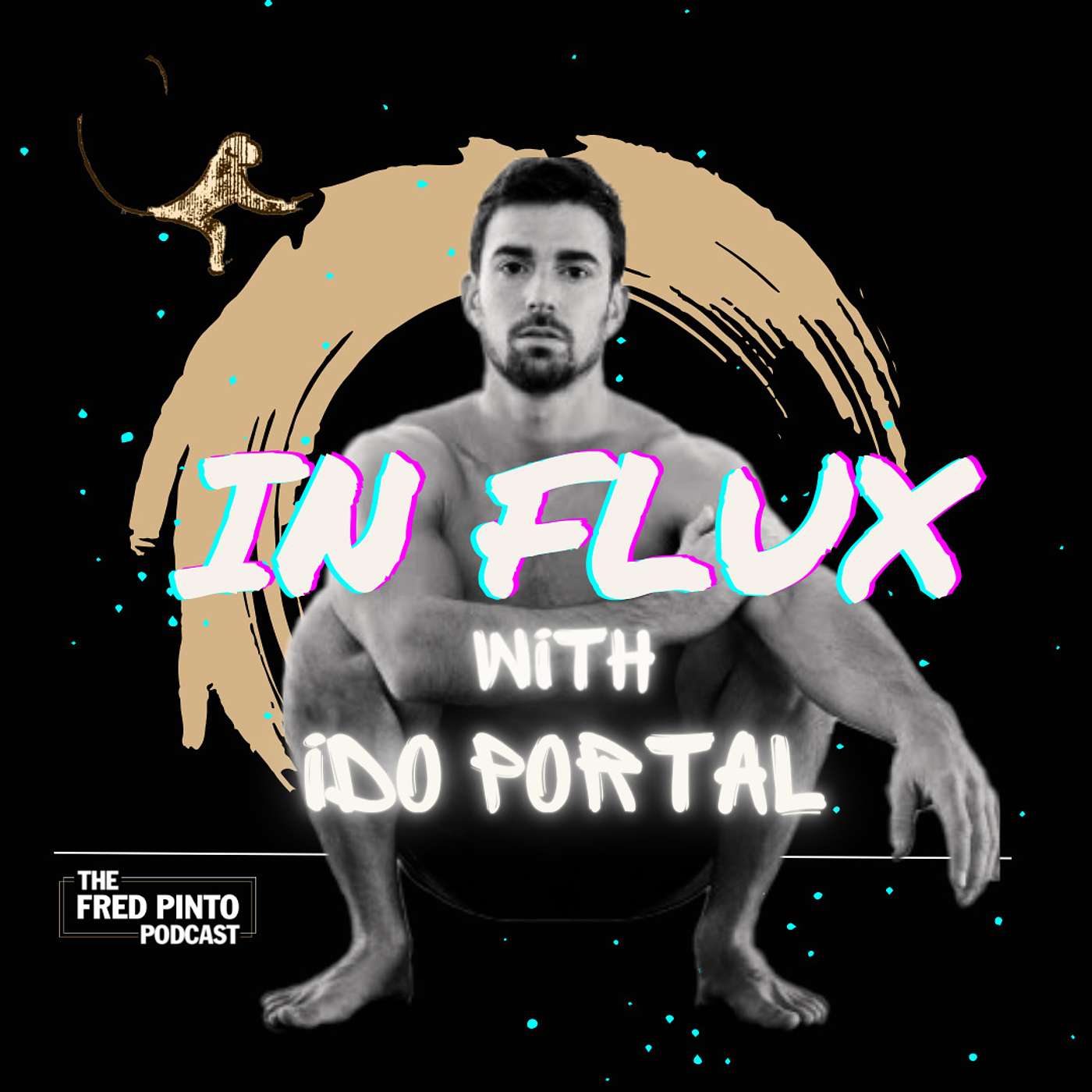 12. In Flux, with Ido Portal