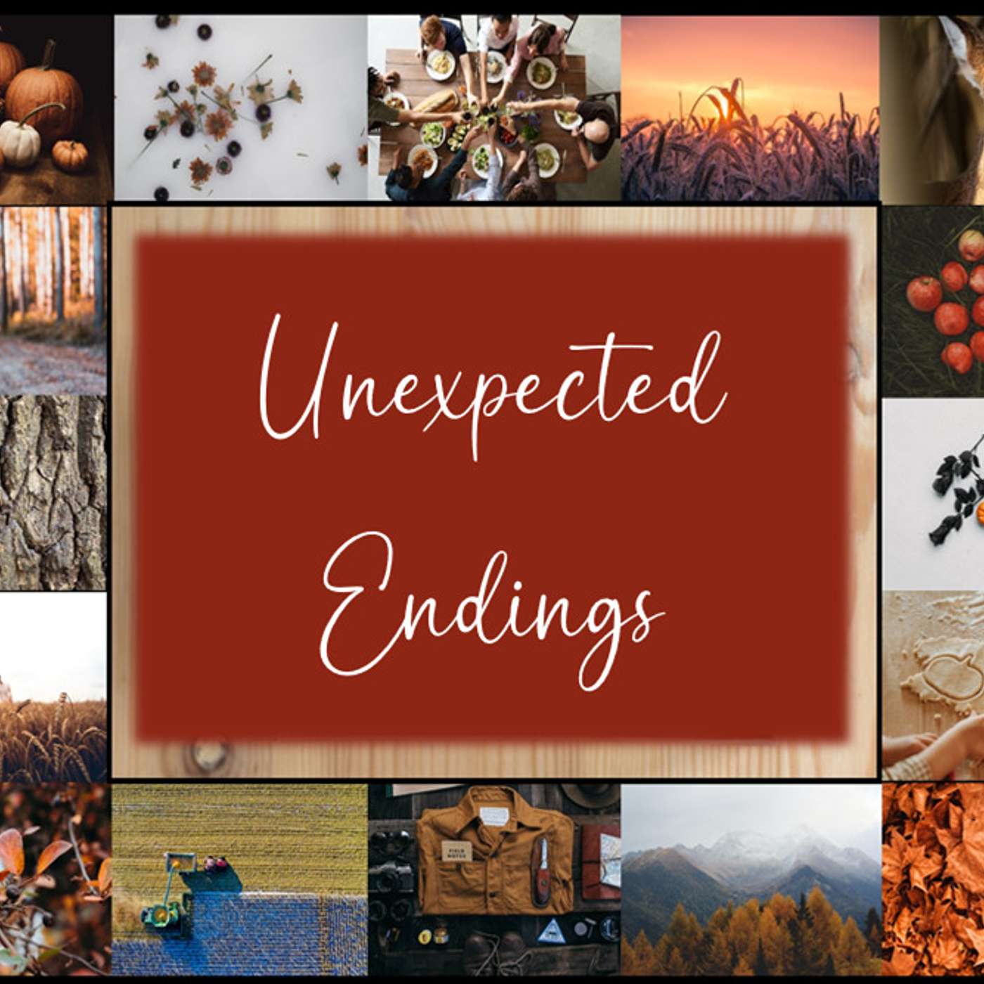Unexpected Endings- I Just Wanna Be a Sheep episode artwork