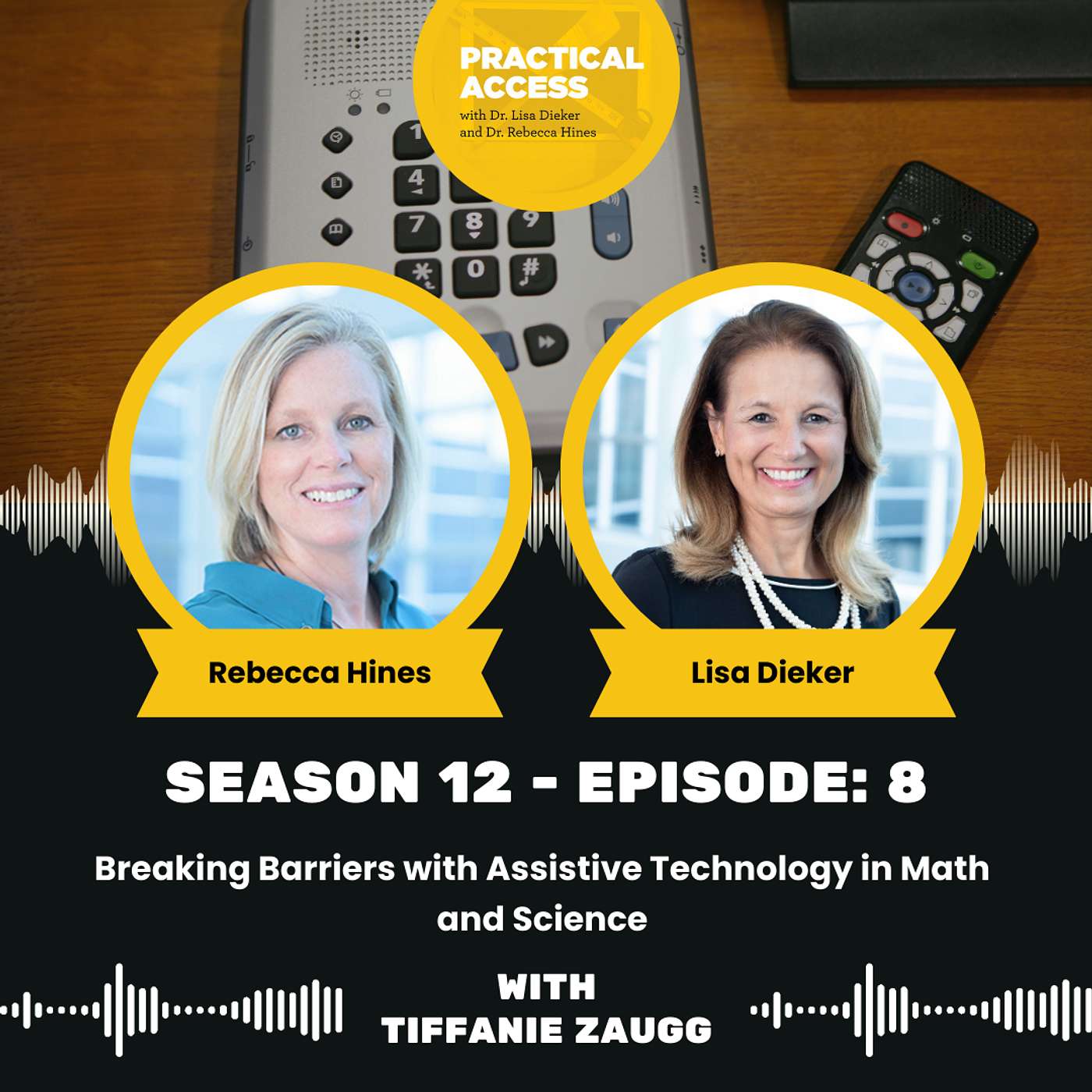 S12 E8: Breaking Barriers with Assistive Technology in Math and Science