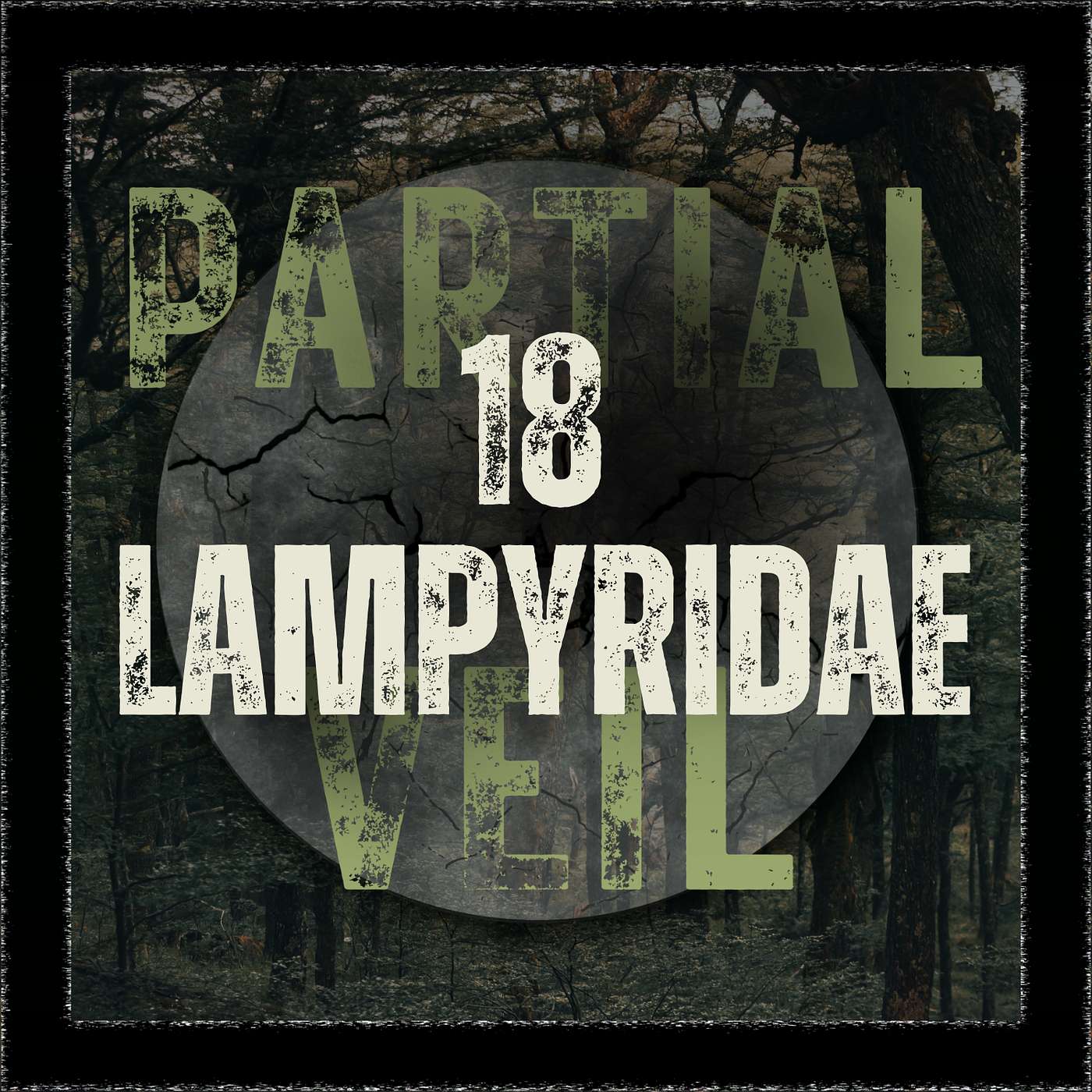 Episode 18: Lampyridae