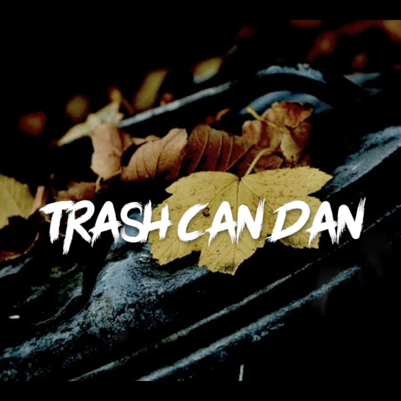 Trash Can Dan