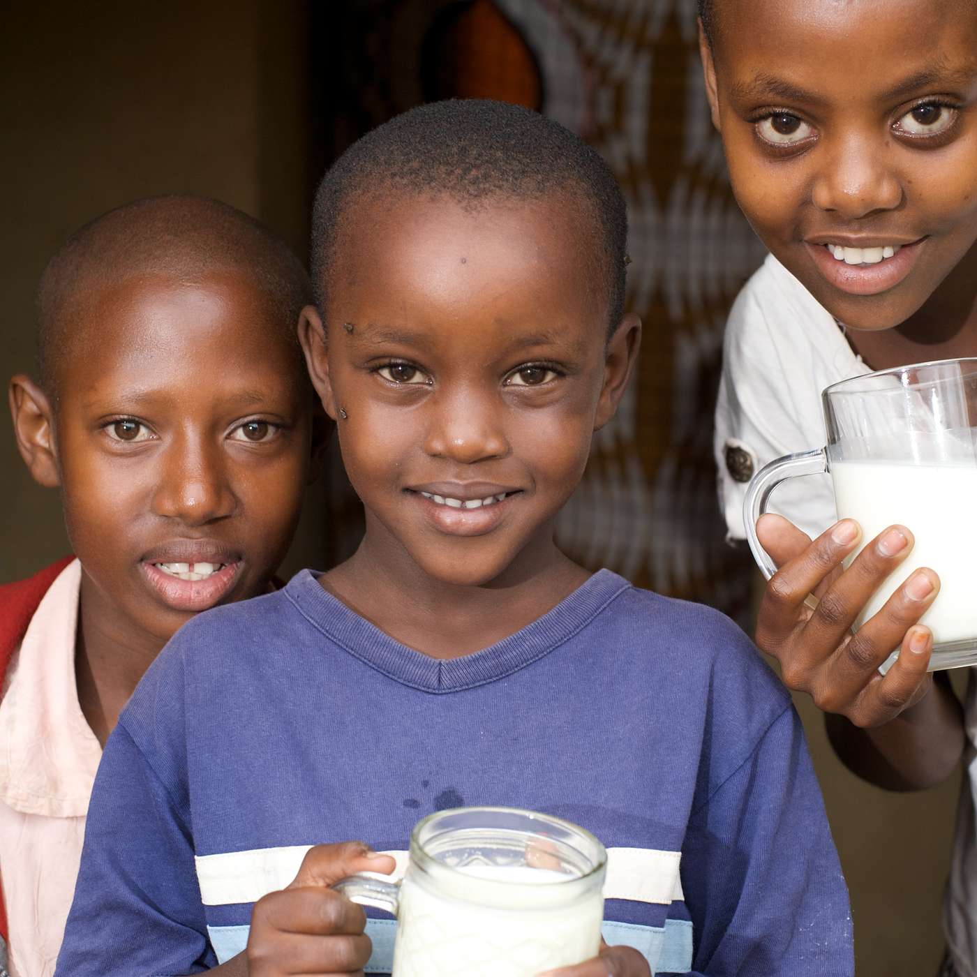 Animal-source foods for people and the planet