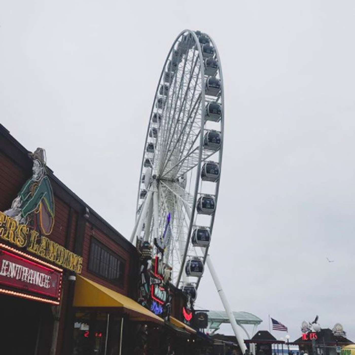 Wheel of Fortune