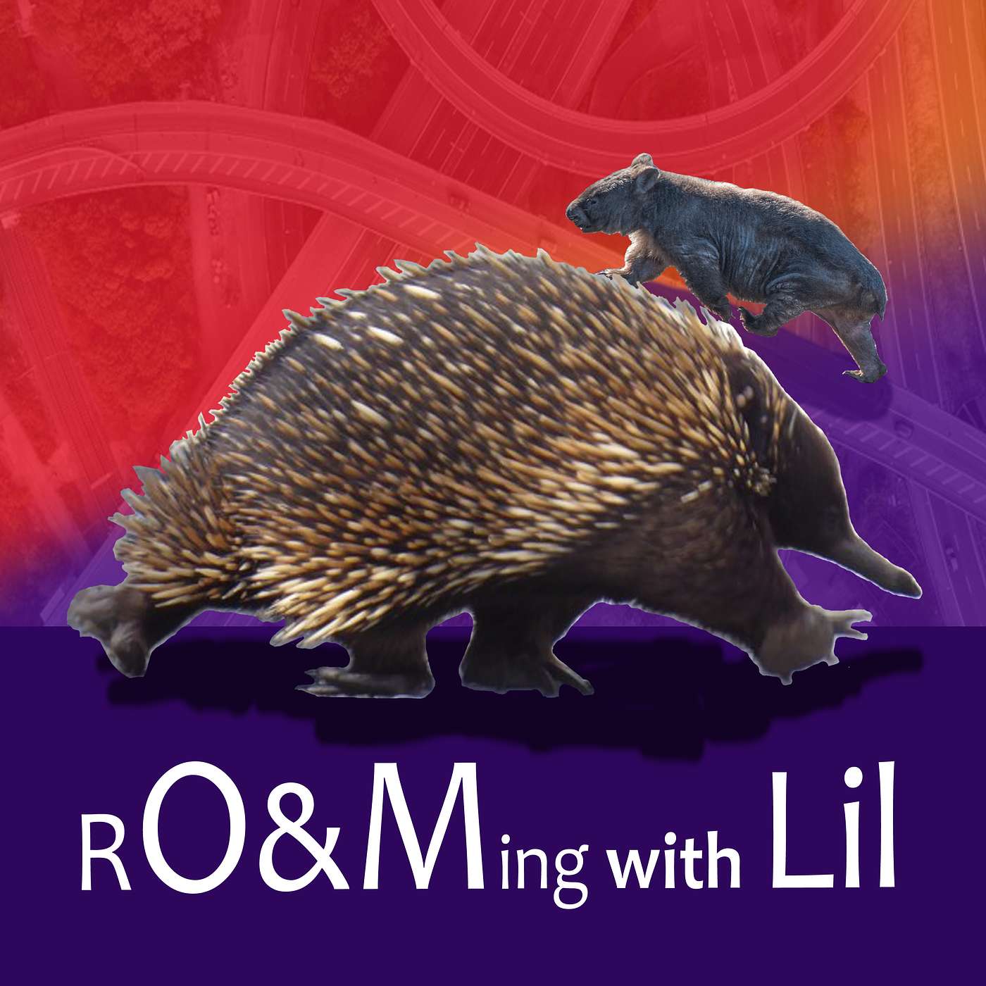 RO&Ming with Lil