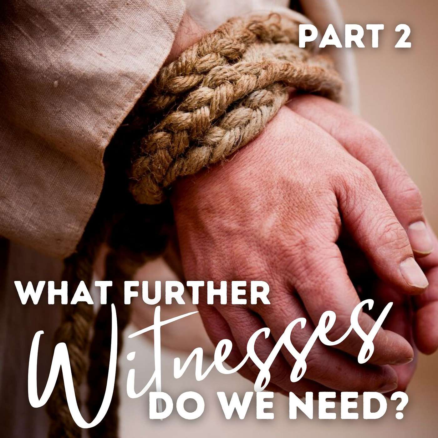 What Further Witnesses Do We Need?: The Savior on Trial, Part 2