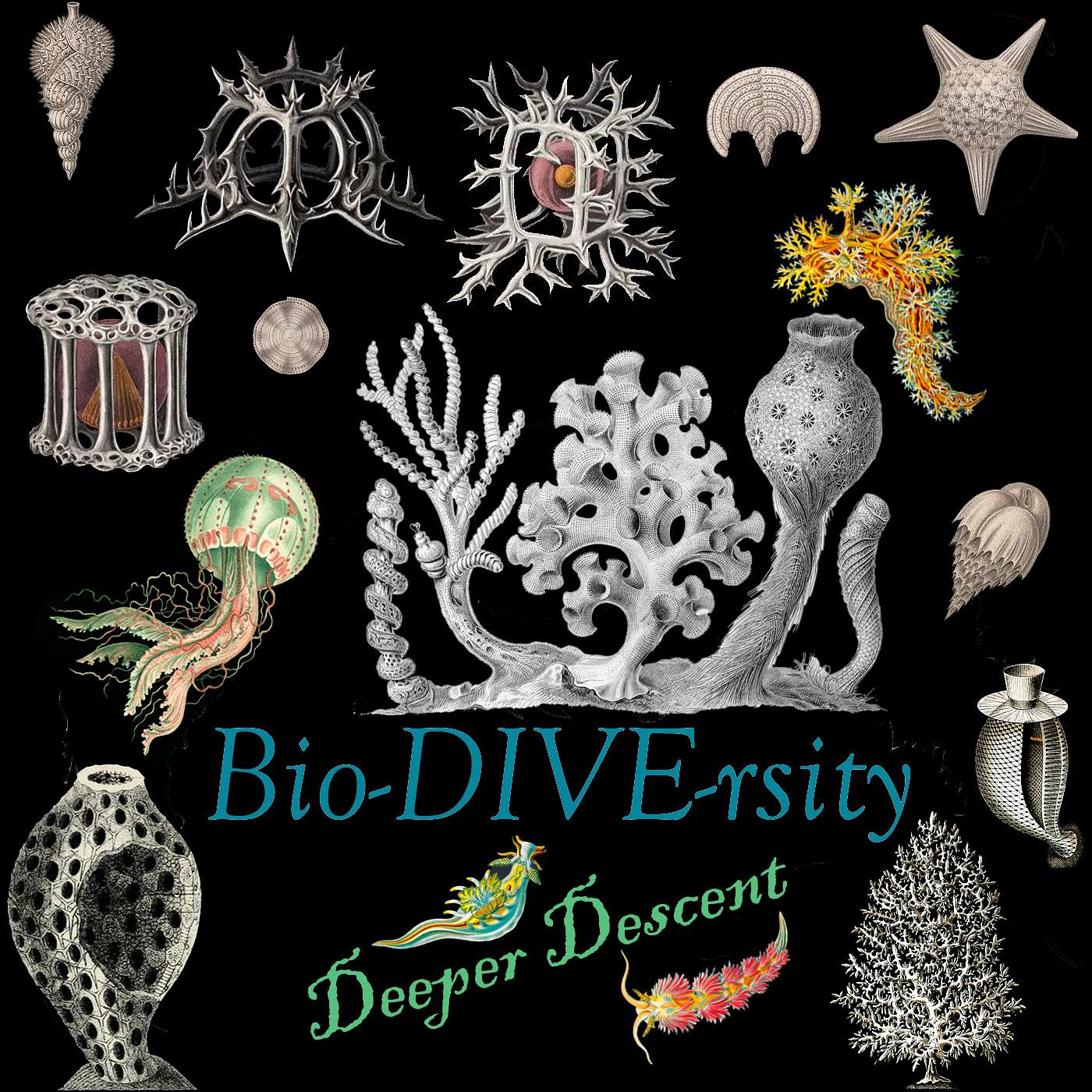 My Story Is Not Yet Over