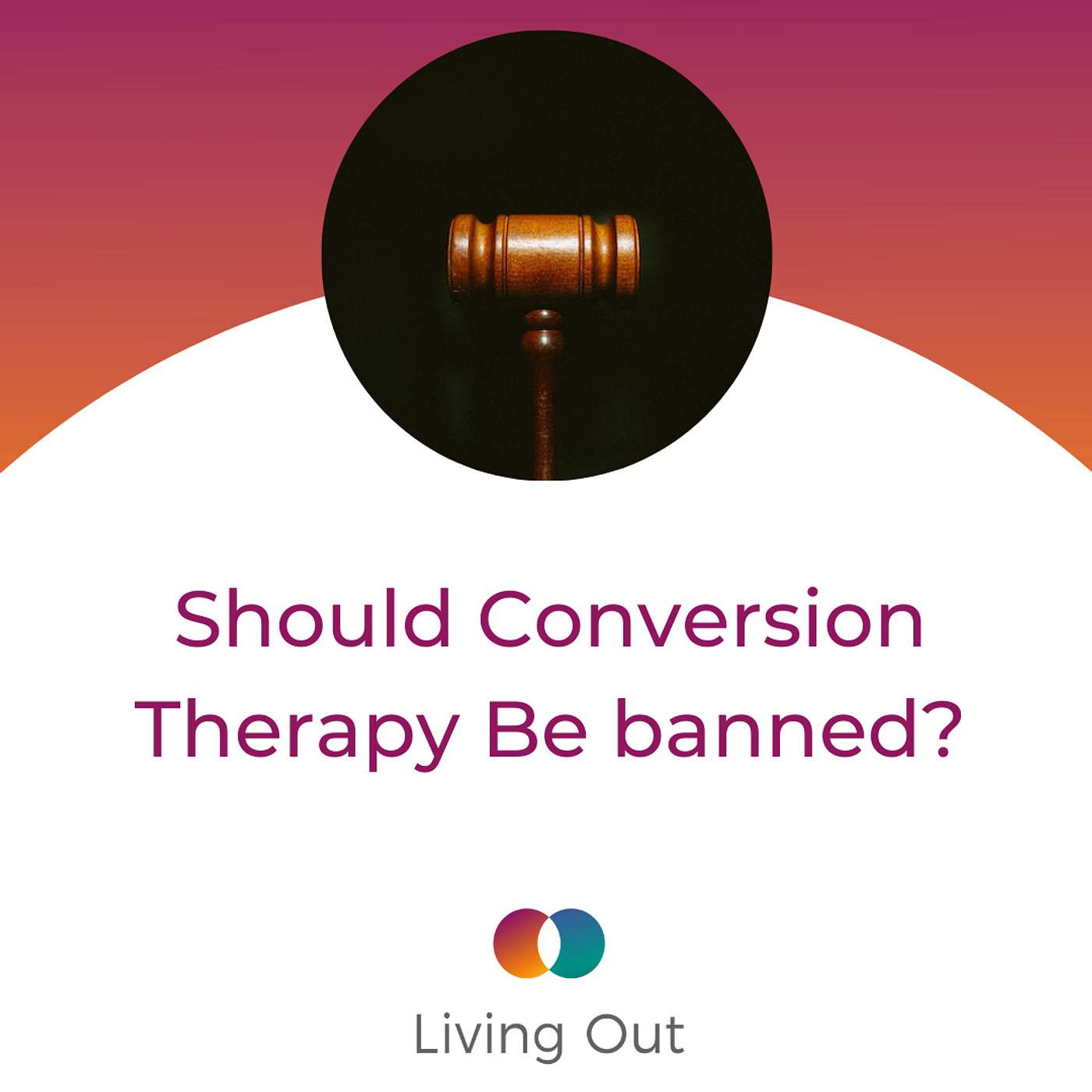 Should Conversion Therapy Be Banned? (Questions No One Wants To Answer #1) episode artwork