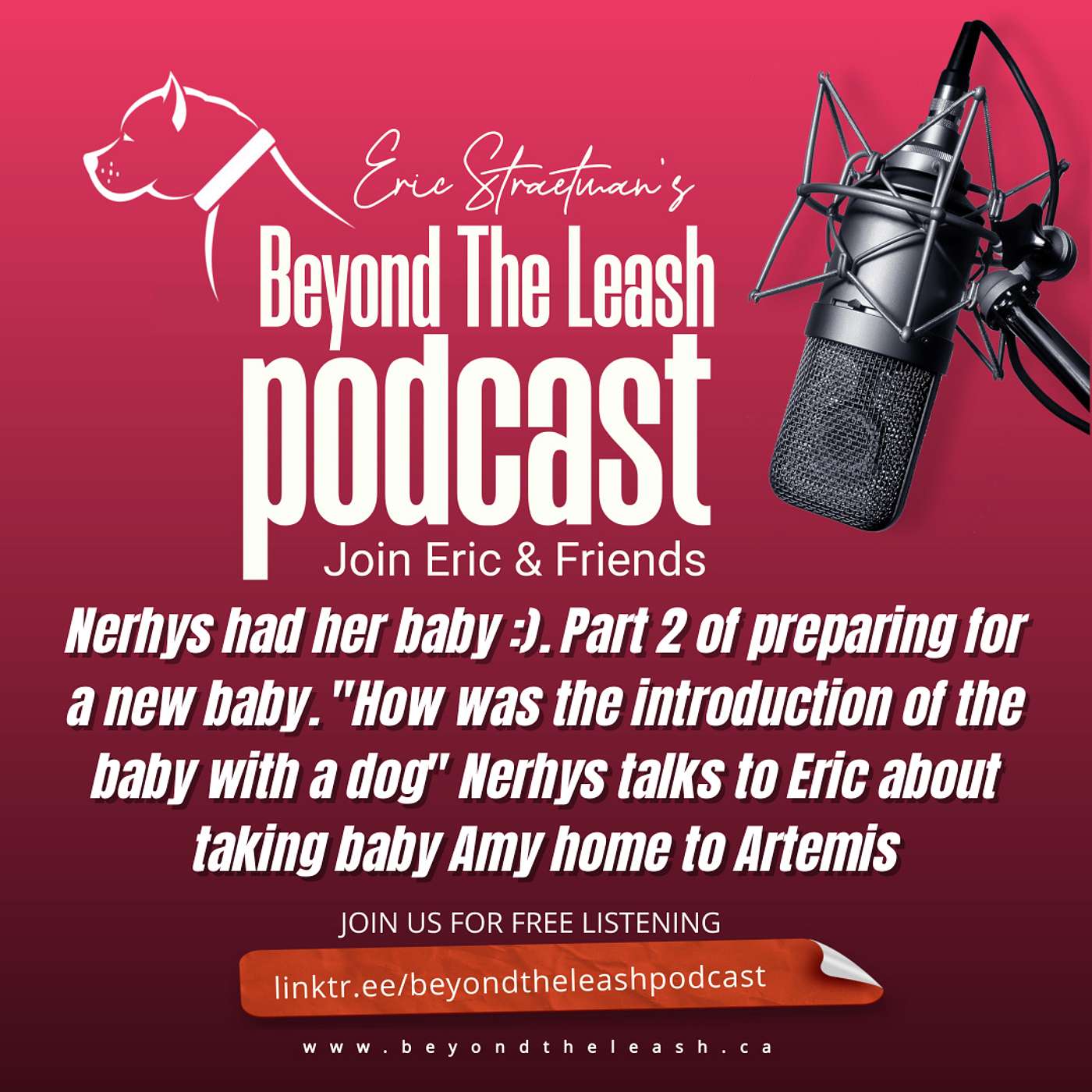 Ep 134: Nerhys had her baby :).  Part 2 of preparing for a new baby.  "HOW WAS the introduction of the baby with a dog"