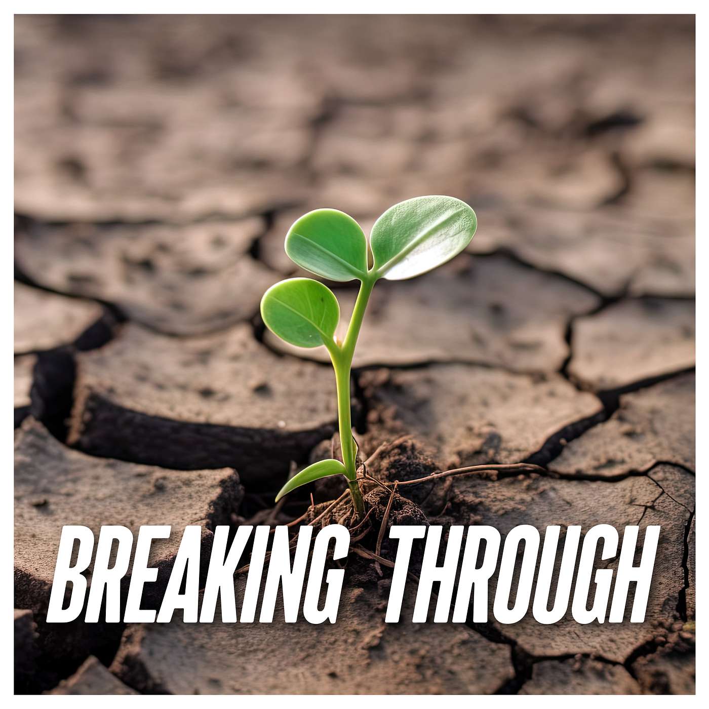 Breaking Through | 