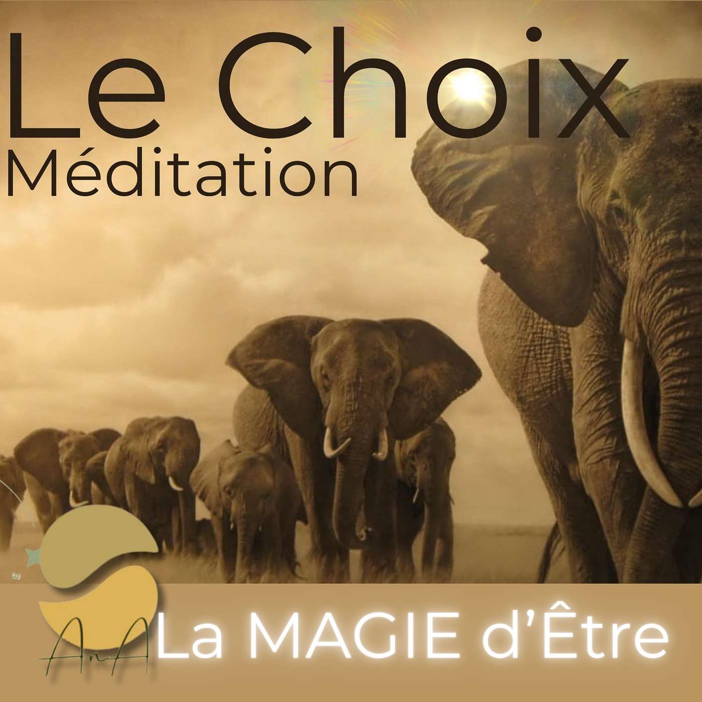AnA\'s Podcast Méditations Bien-Être, Santé et Conscience