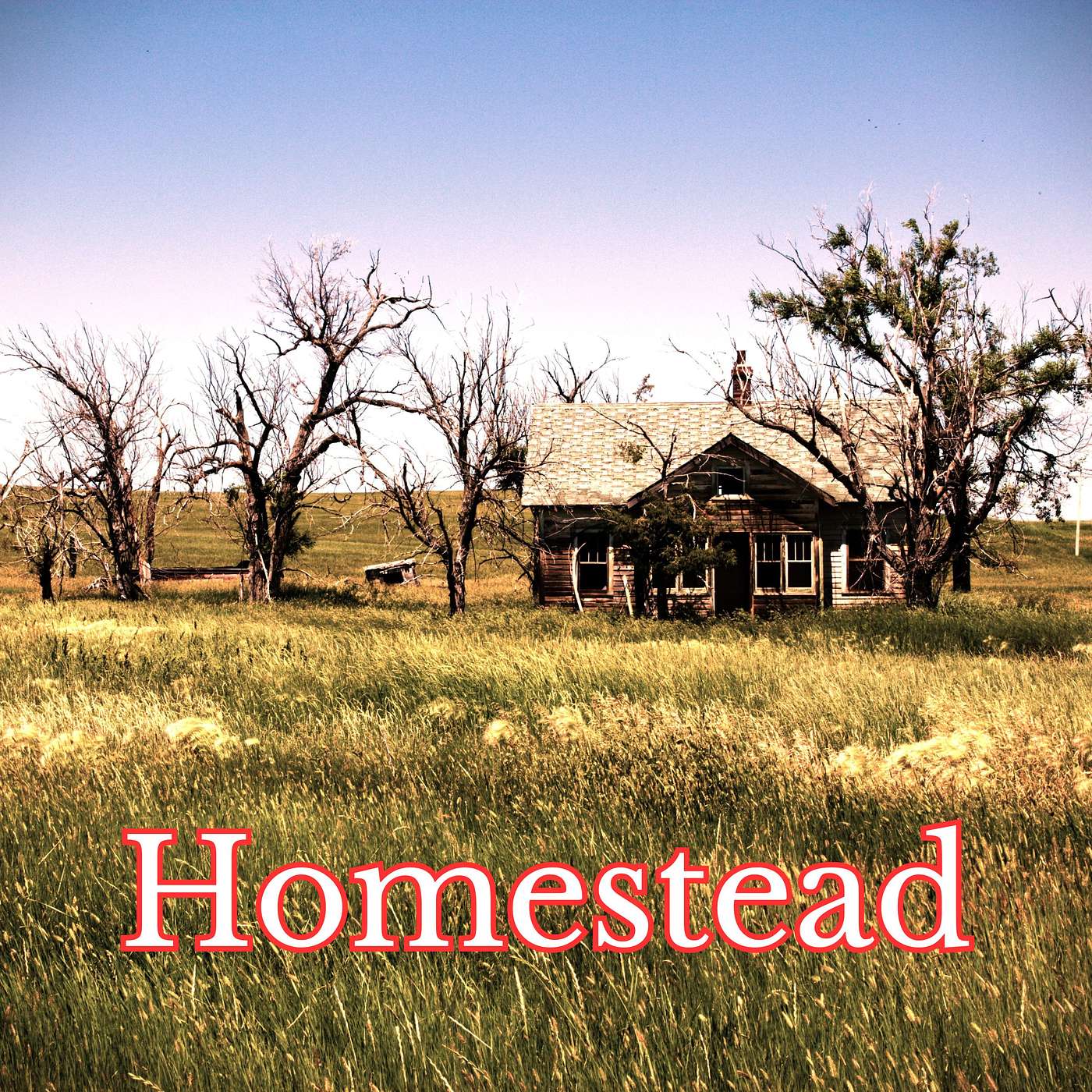 Homestead episode artwork