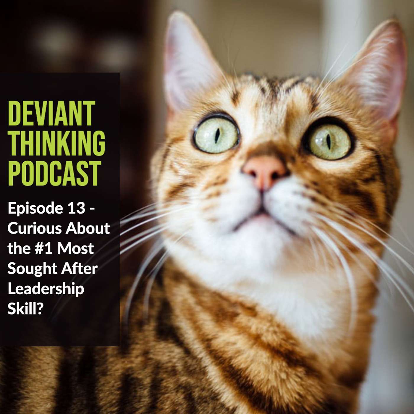 Curious About the #1 Most Sought After Leadership Skill?