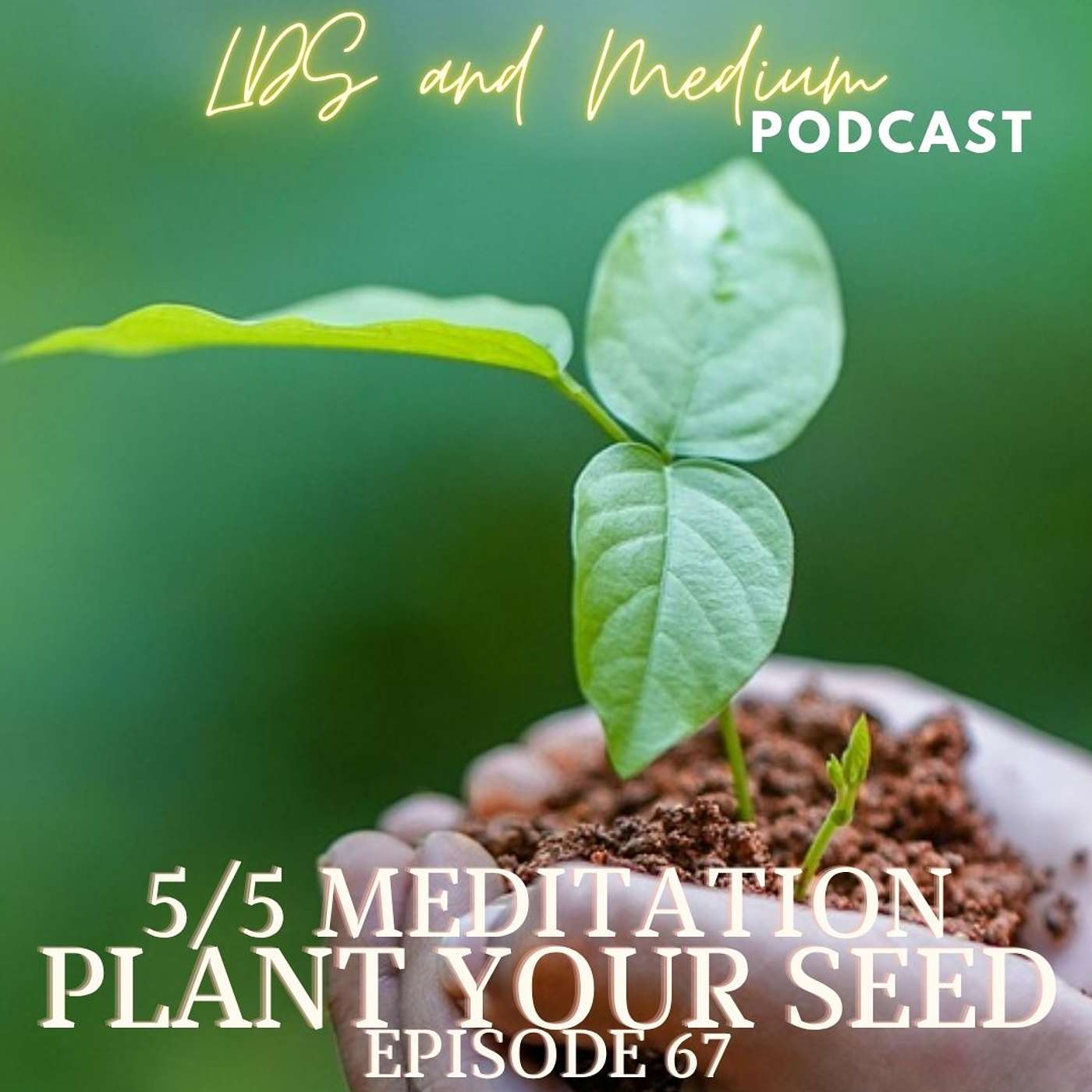 May 5th (2026): Guided Meditation: Plant Your Seed episode artwork