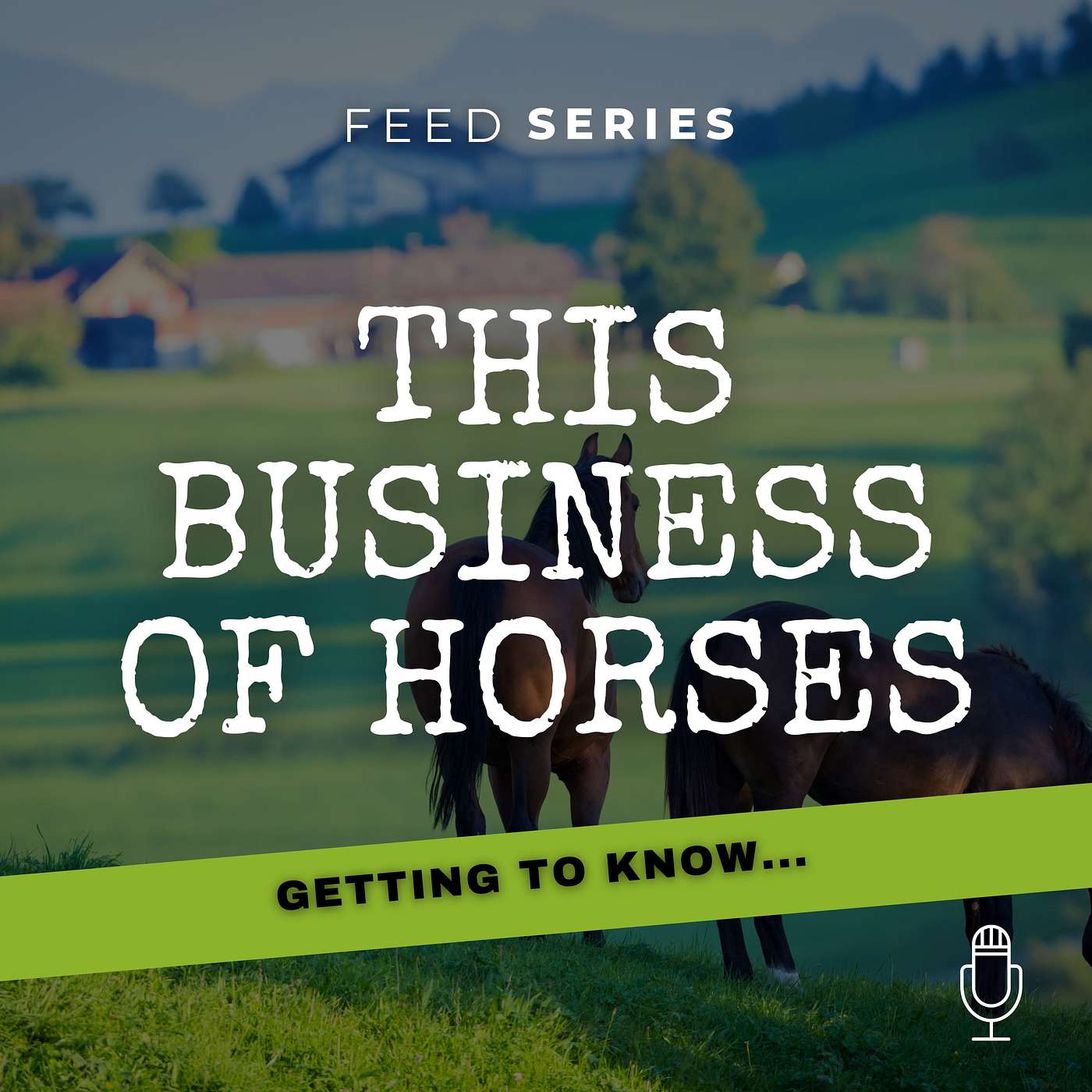 Getting to know...Synovium Horse Health UK