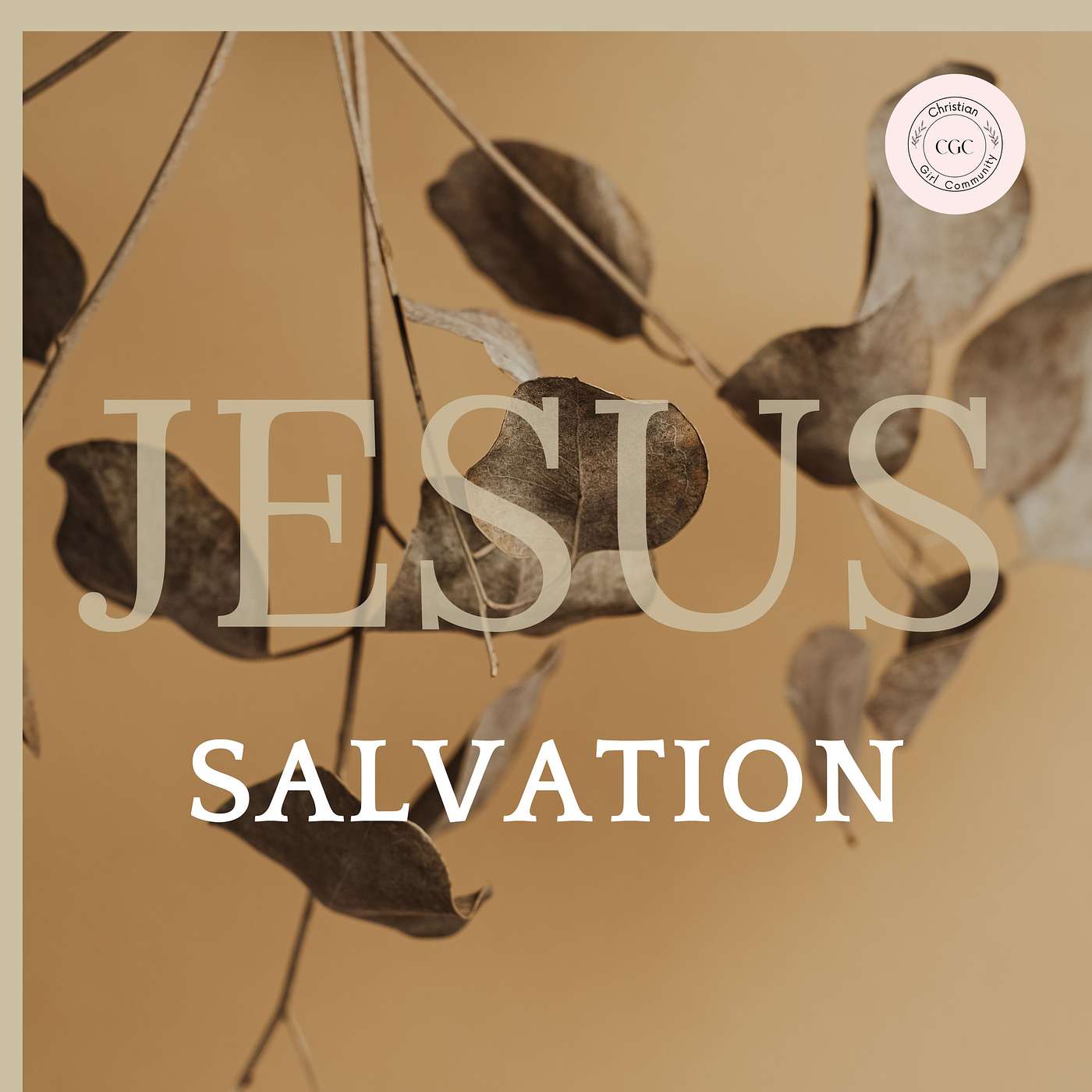 Salvation episode artwork