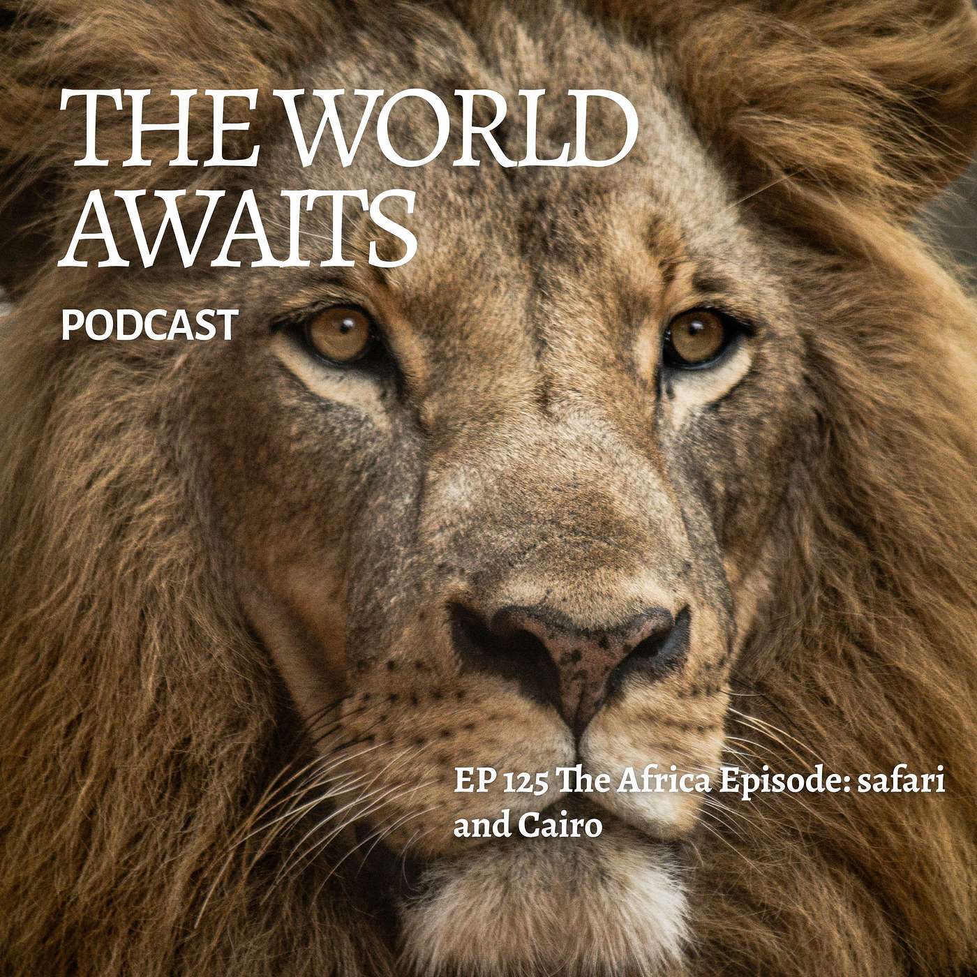 Ep 125 Summer Series: The Africa Episode from museums in Cairo to seeking out the Big Five Ep 125 Summer Series: The Africa Episode from museums in Cairo to seeking out the Big Five