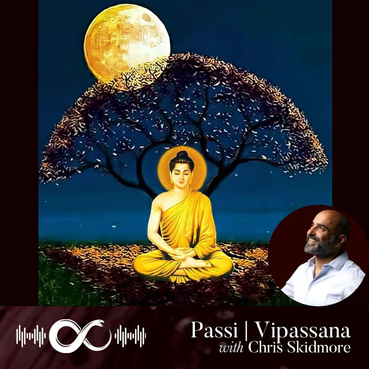 #33 | Passi on Vipassana