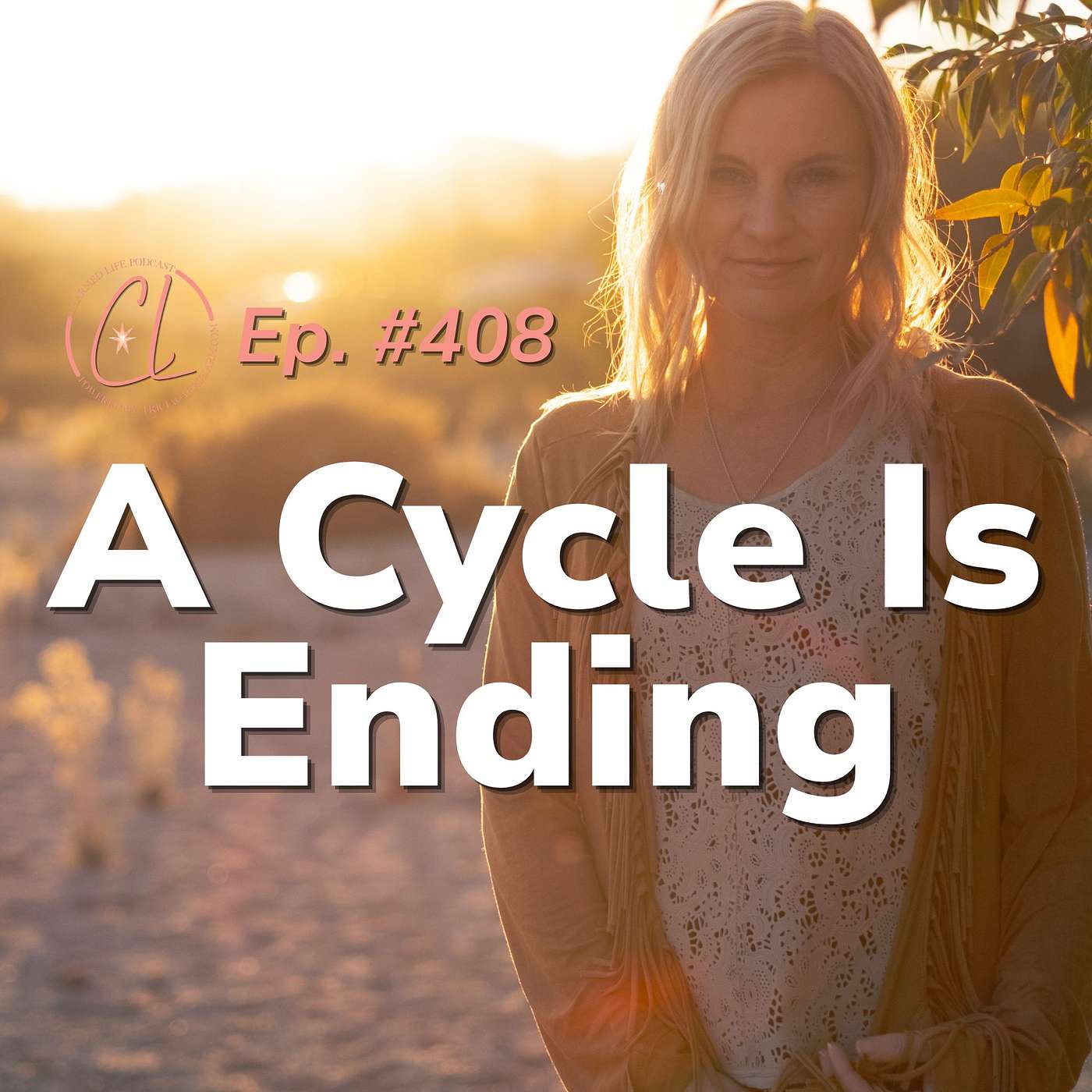 408: The 2027 Shift: From Tribal Systems to Personal Sovereignty 408: The 2027 Shift: From Tribal Systems to Personal Sovereignty